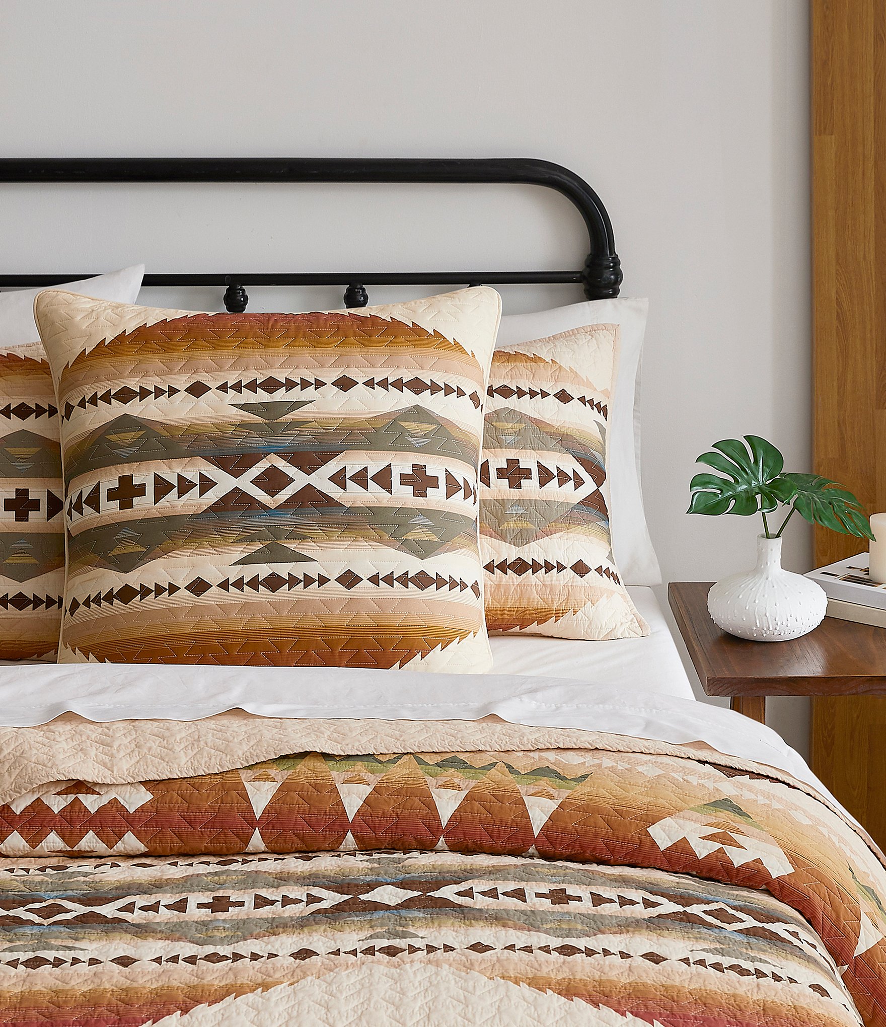 Pendleton Solstice Canyon Euro Sham