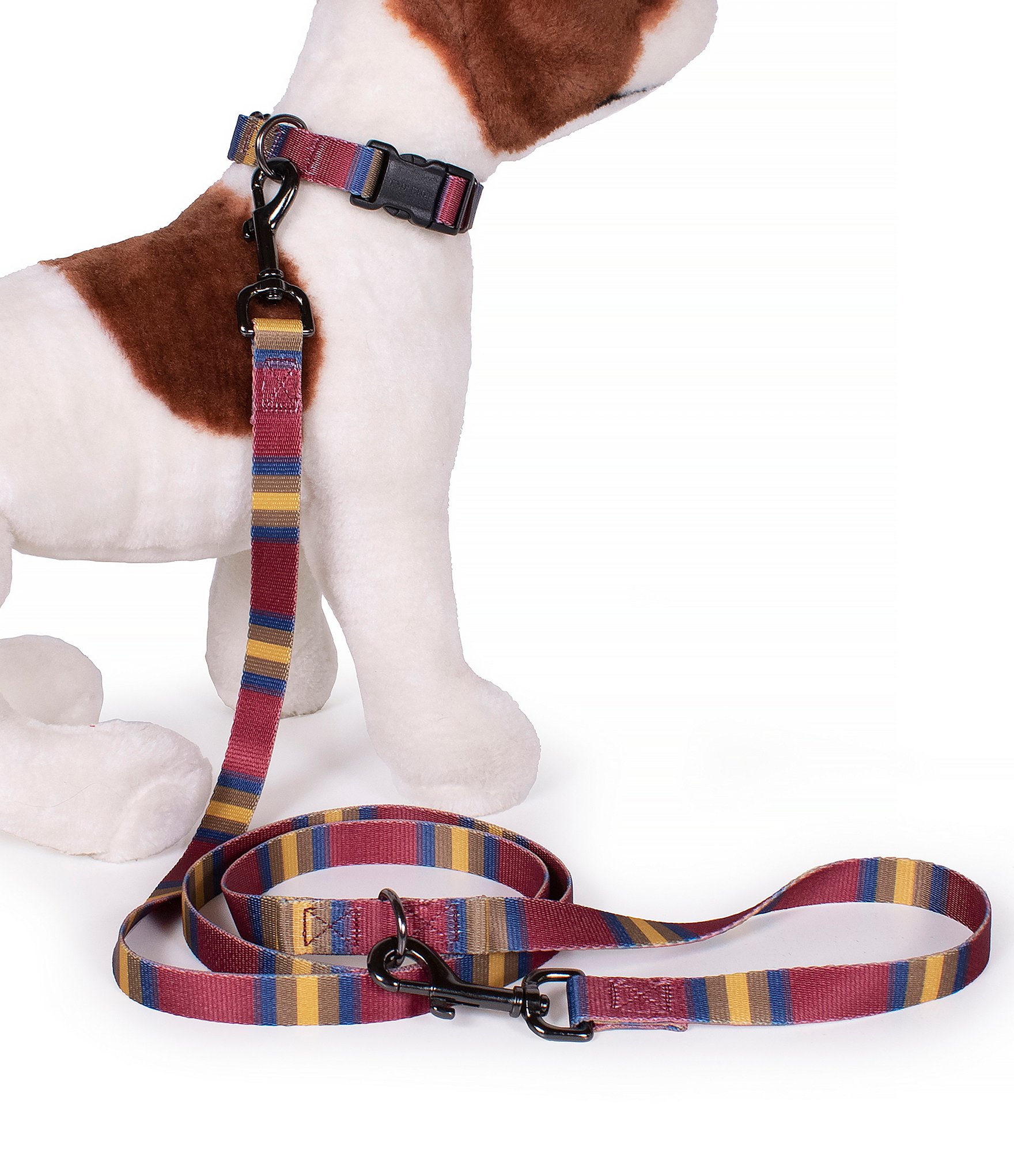 Pendleton Zion National Park Adventure Dog Leash