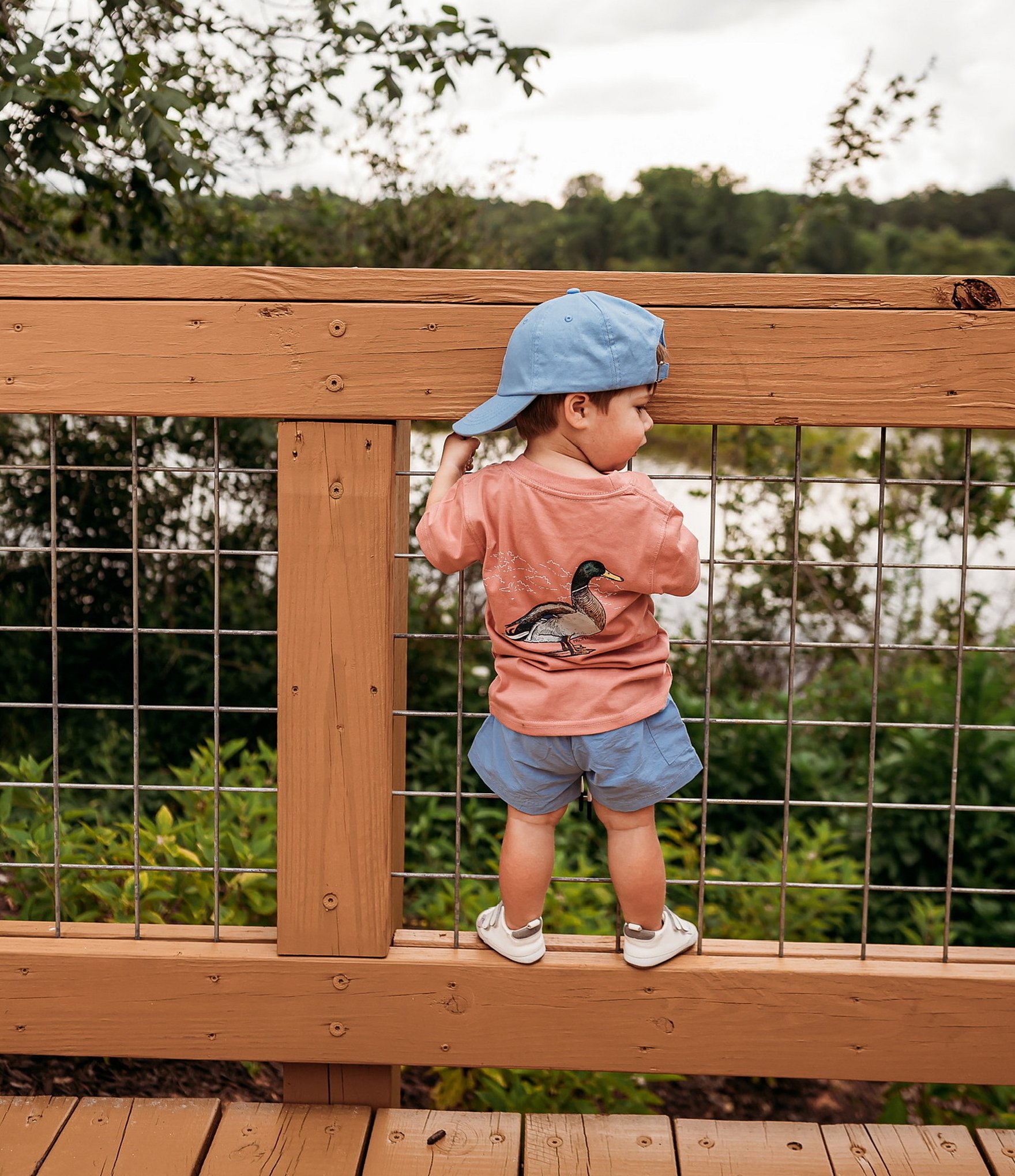 Properly Tied Little Boys 2T-7 Mallard Pull-On Shorts