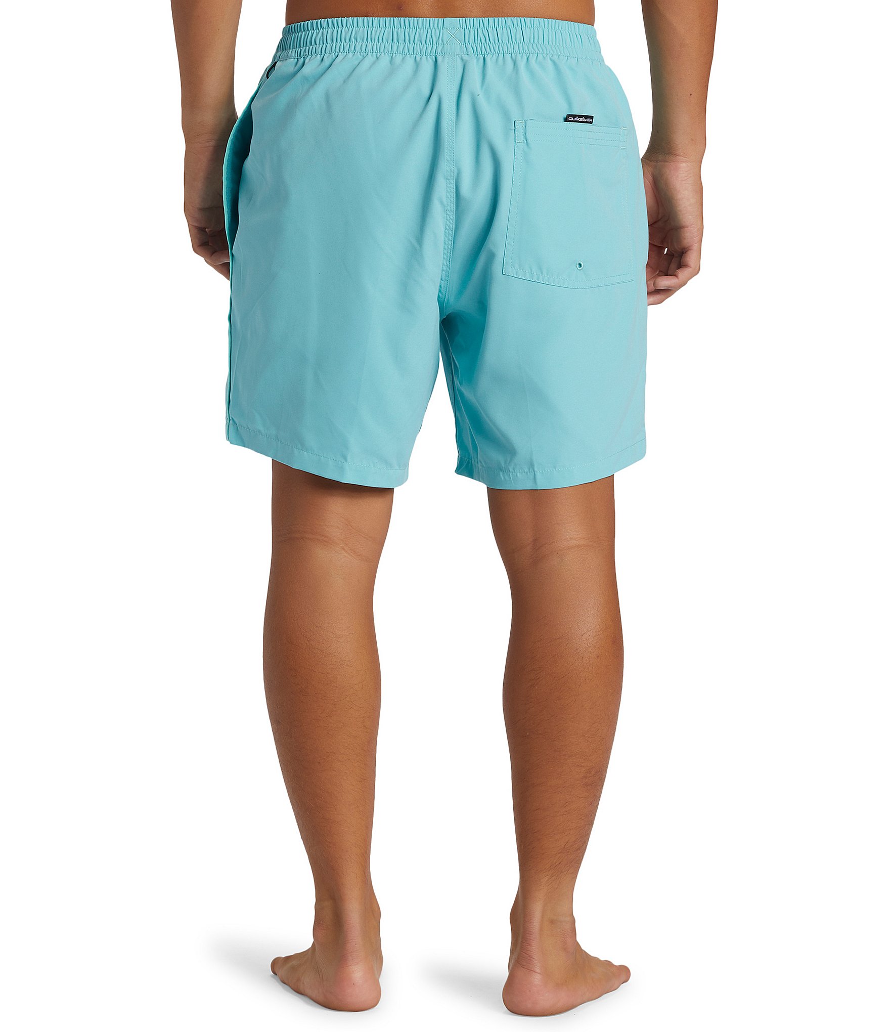 Quiksilver Everyday Vert 17#double; Outseam Volley Shorts