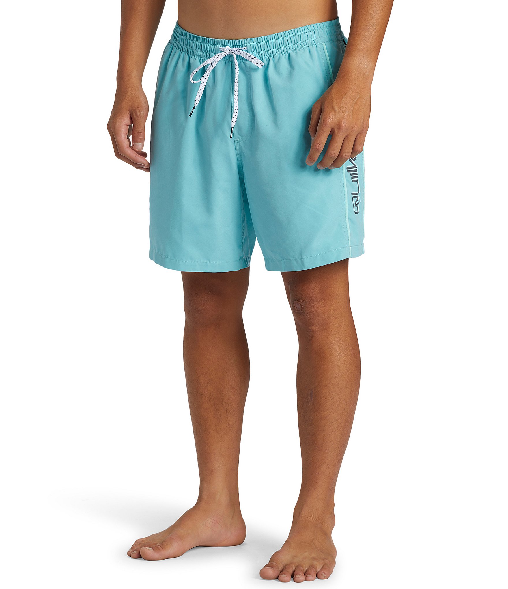 Quiksilver Everyday Vert 17#double; Outseam Volley Shorts