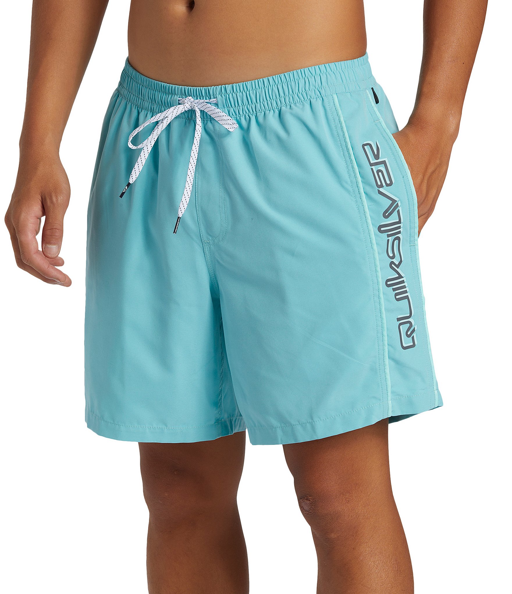 Quiksilver Everyday Vert 17#double; Outseam Volley Shorts