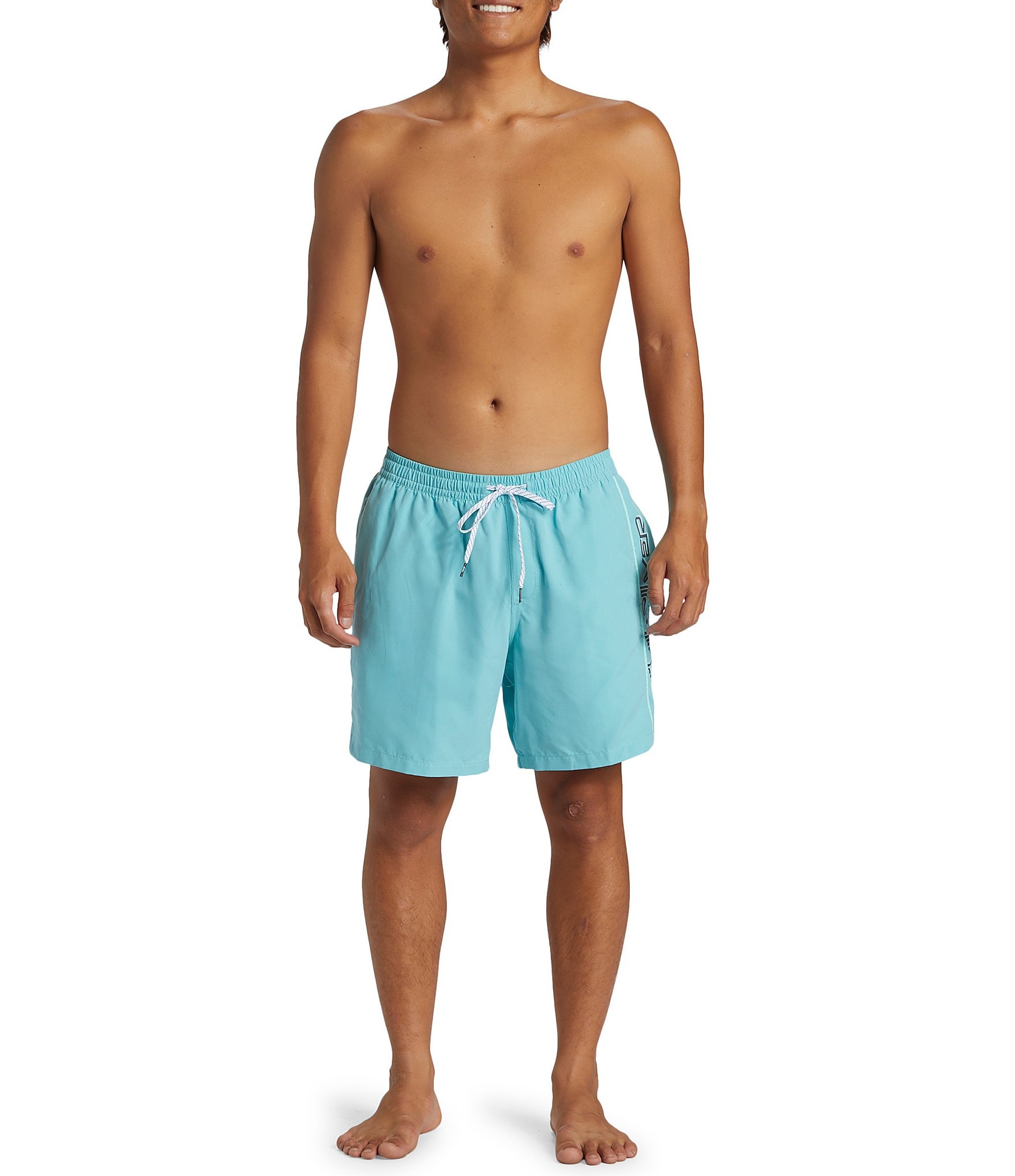 Quiksilver Everyday Vert 17#double; Outseam Volley Shorts