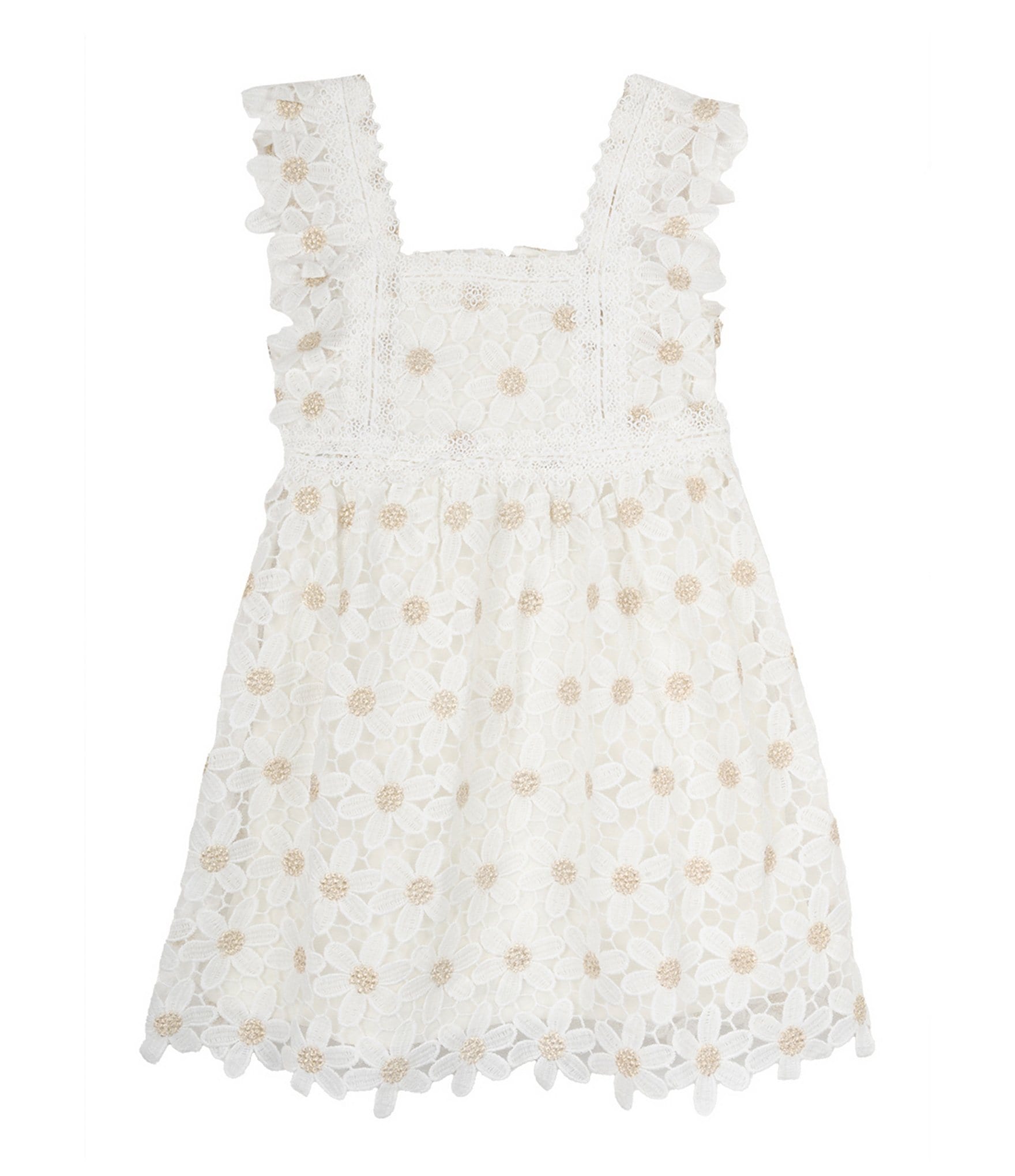 Rare Editions Little Girls 2T-6X Flutter-Sleeve Glitter-Accented Floral Lace Fit & Flare Dress