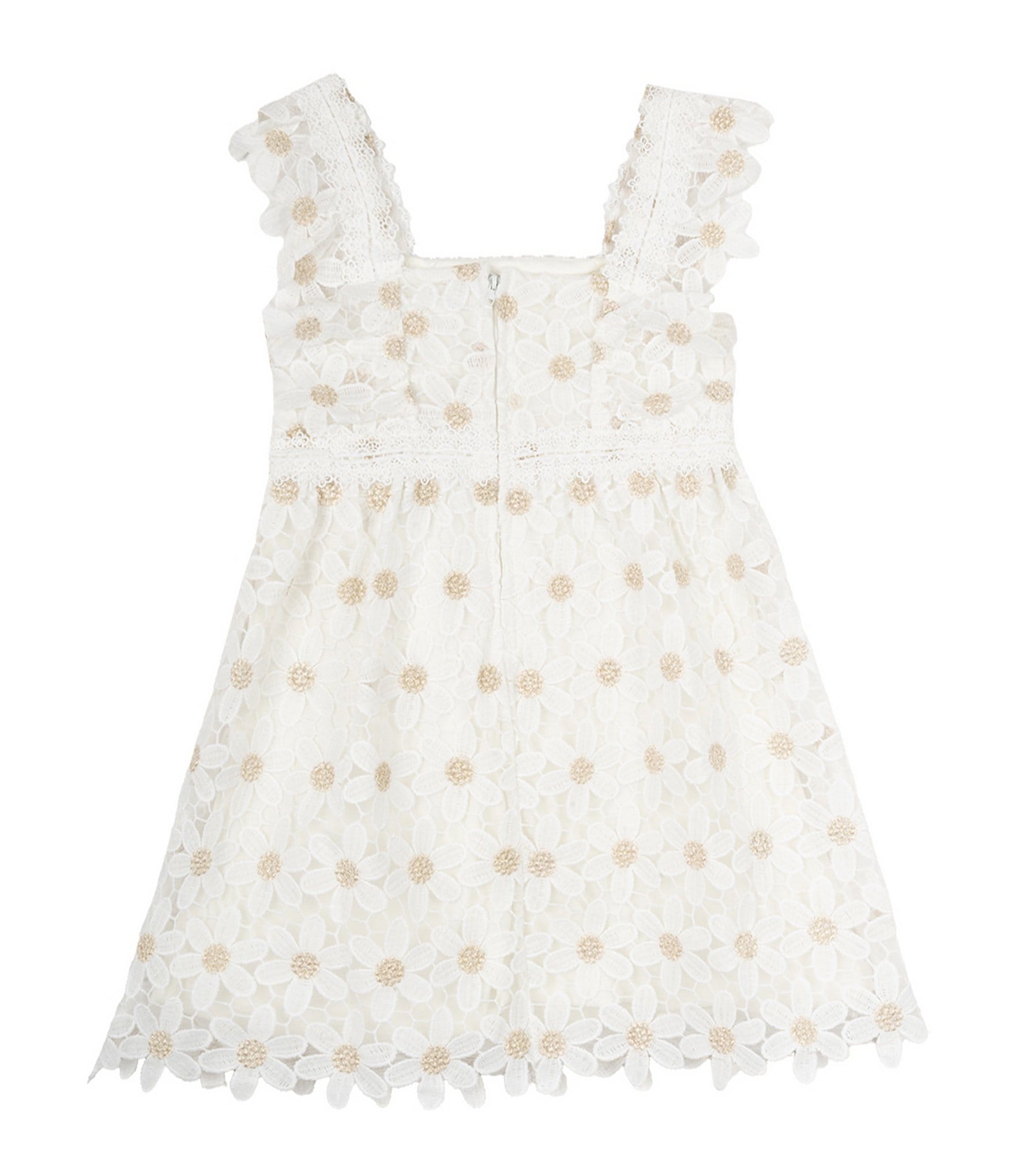 Rare Editions Little Girls 2T-6X Flutter-Sleeve Glitter-Accented Floral Lace Fit & Flare Dress