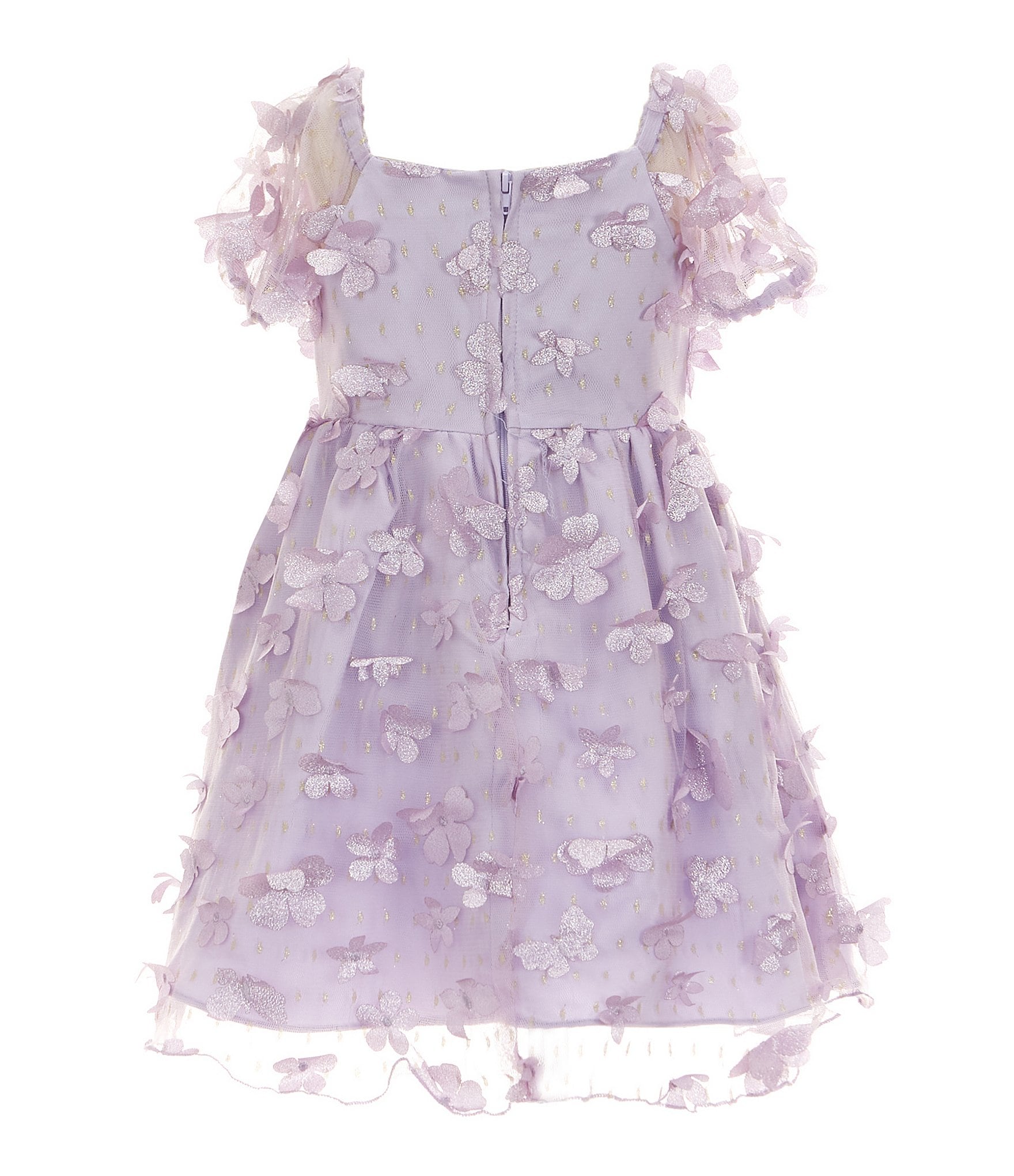 Rare Editions Little Girls 2T-6X Illusion-Puffed Sleeve Three-Dimensional Floral-applique/Clip-Dot Mesh Fit & Flare Dress