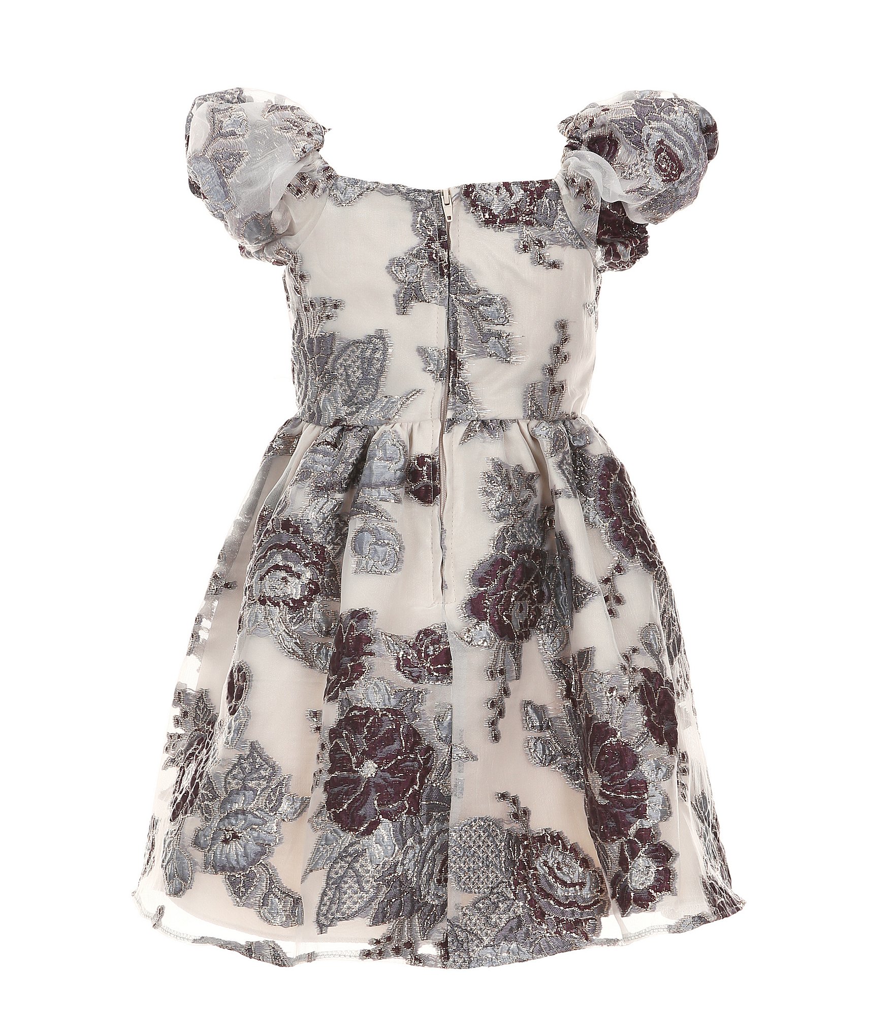 Rare Editions Little Girls 2T-6X Puffed-Sleeve Floral-Burnout Organza Fit-And-Flare Dress