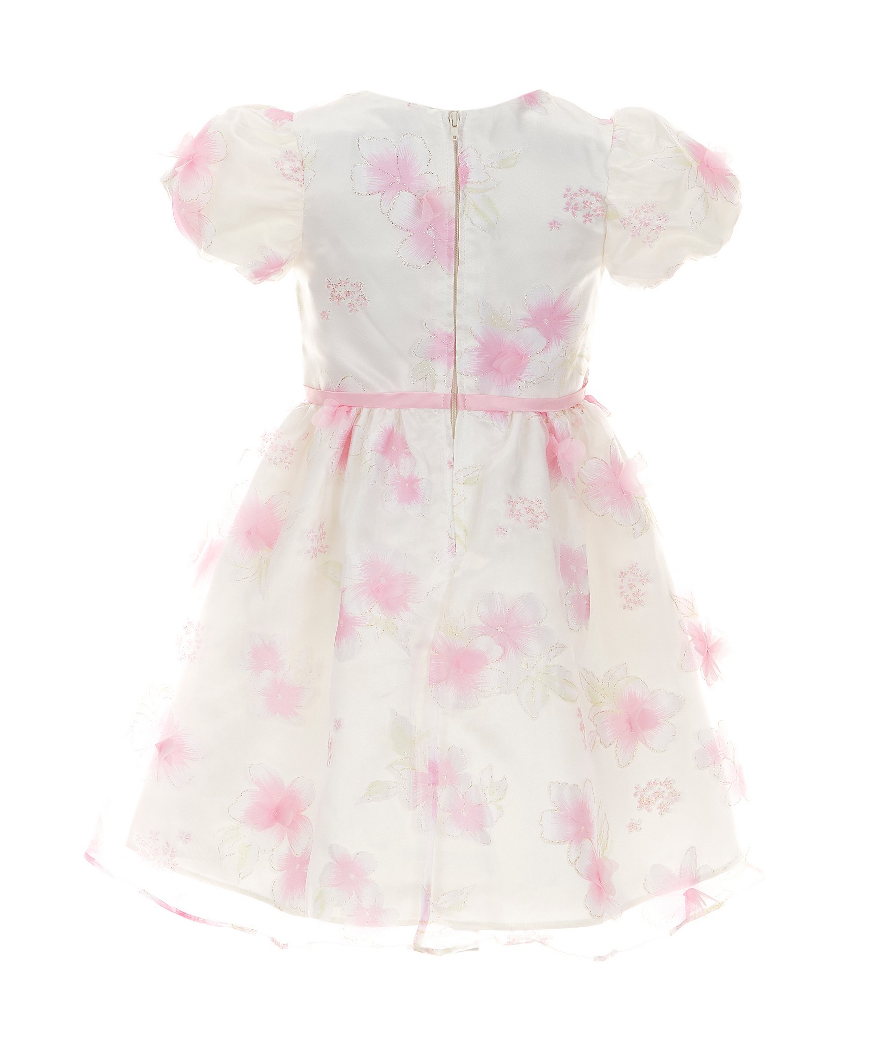 Rare Editions Little Girls 2T-6X Puffed-Sleeve Floral Burnout Organza Fit-And-Flare Dress