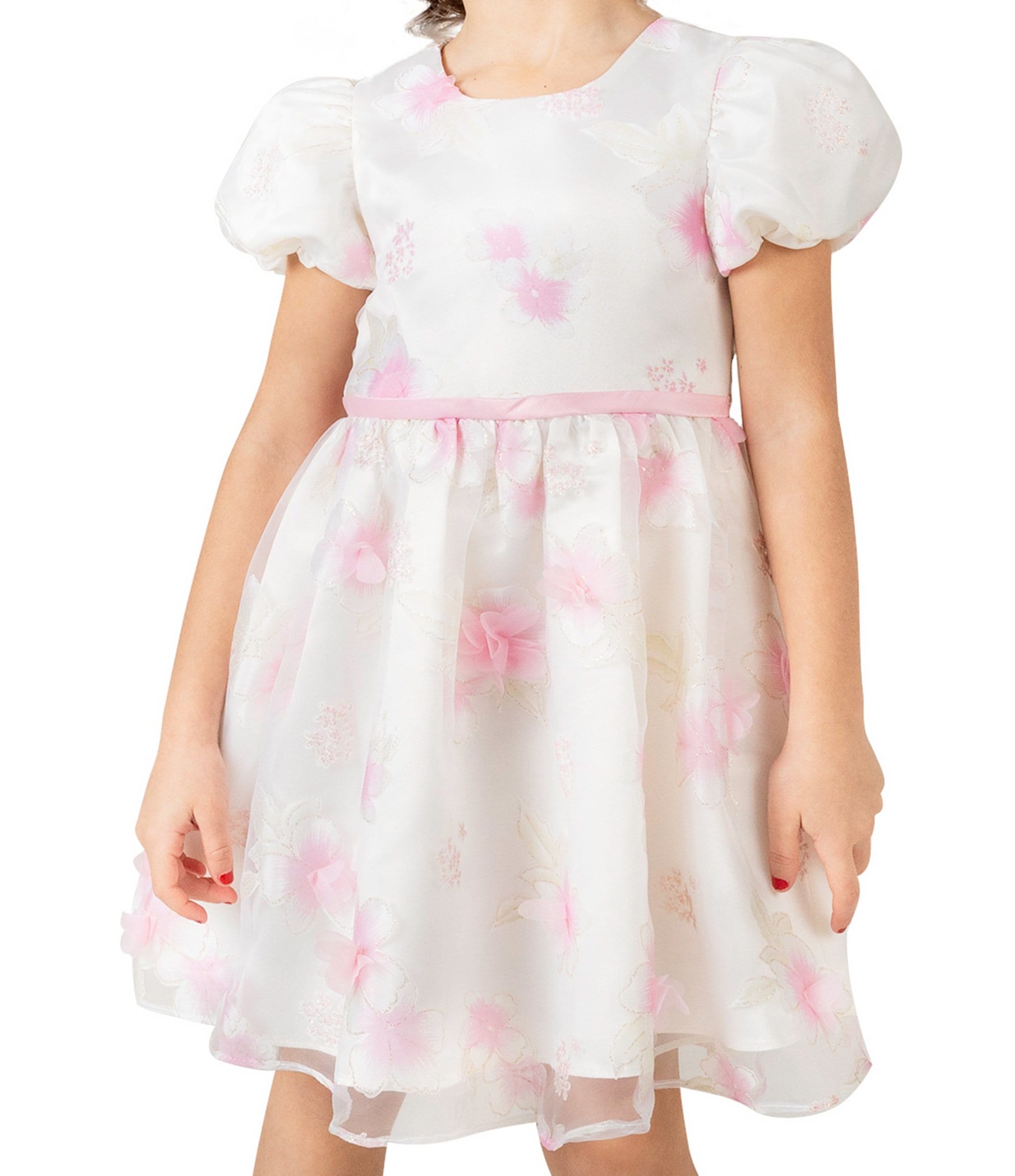 Rare Editions Little Girls 2T-6X Puffed-Sleeve Floral Burnout Organza Fit-And-Flare Dress