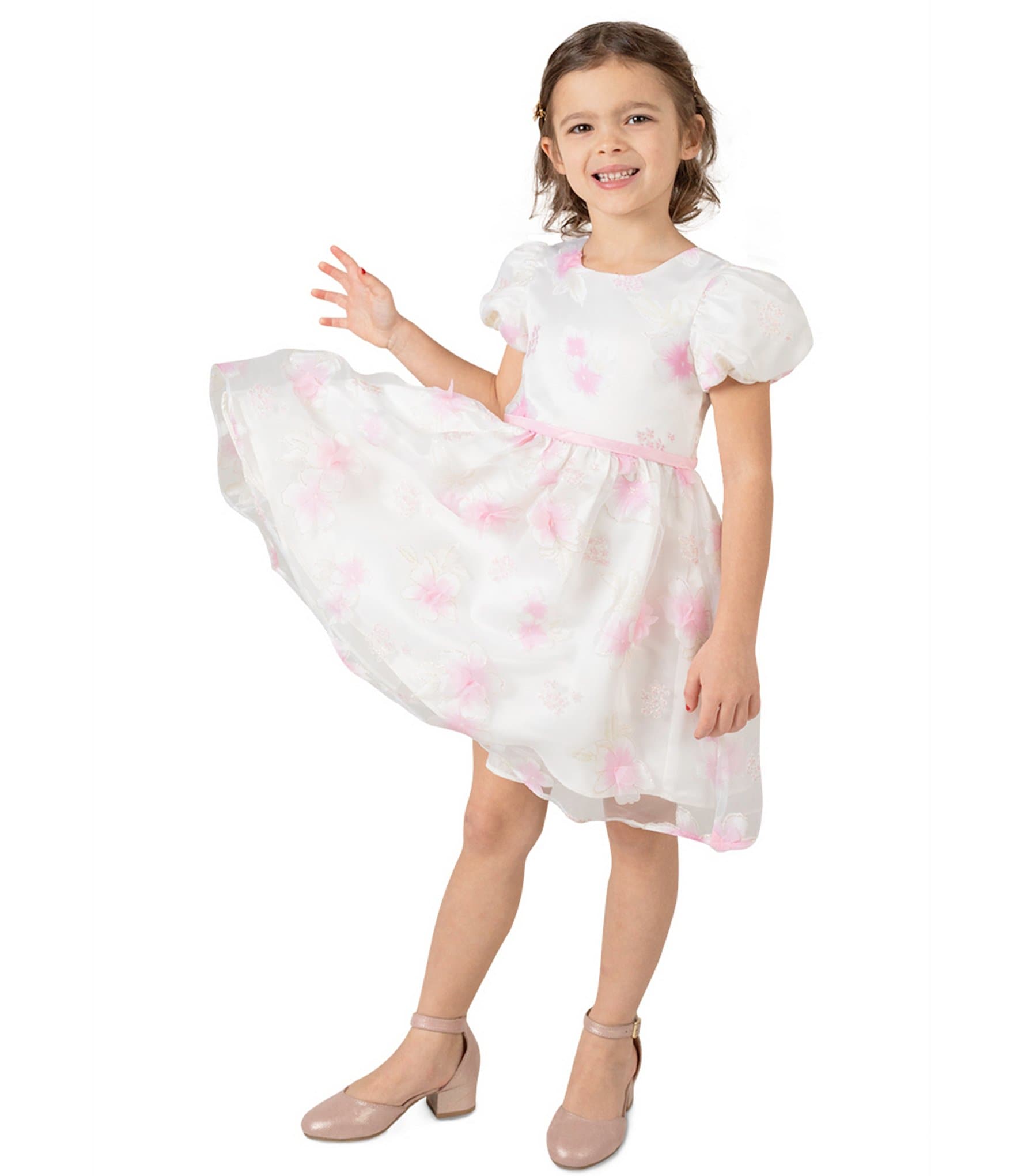 Rare Editions Little Girls 2T-6X Puffed-Sleeve Floral Burnout Organza Fit-And-Flare Dress