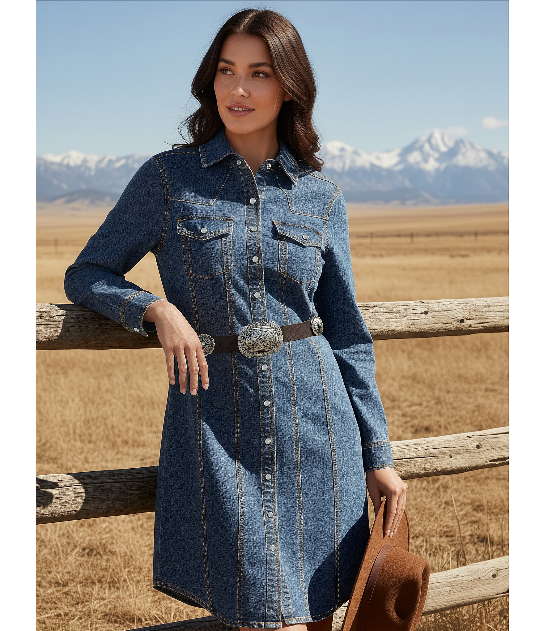 Reba Mesa Stretch Denim Point Collar Long Sleeve Shirt Dress