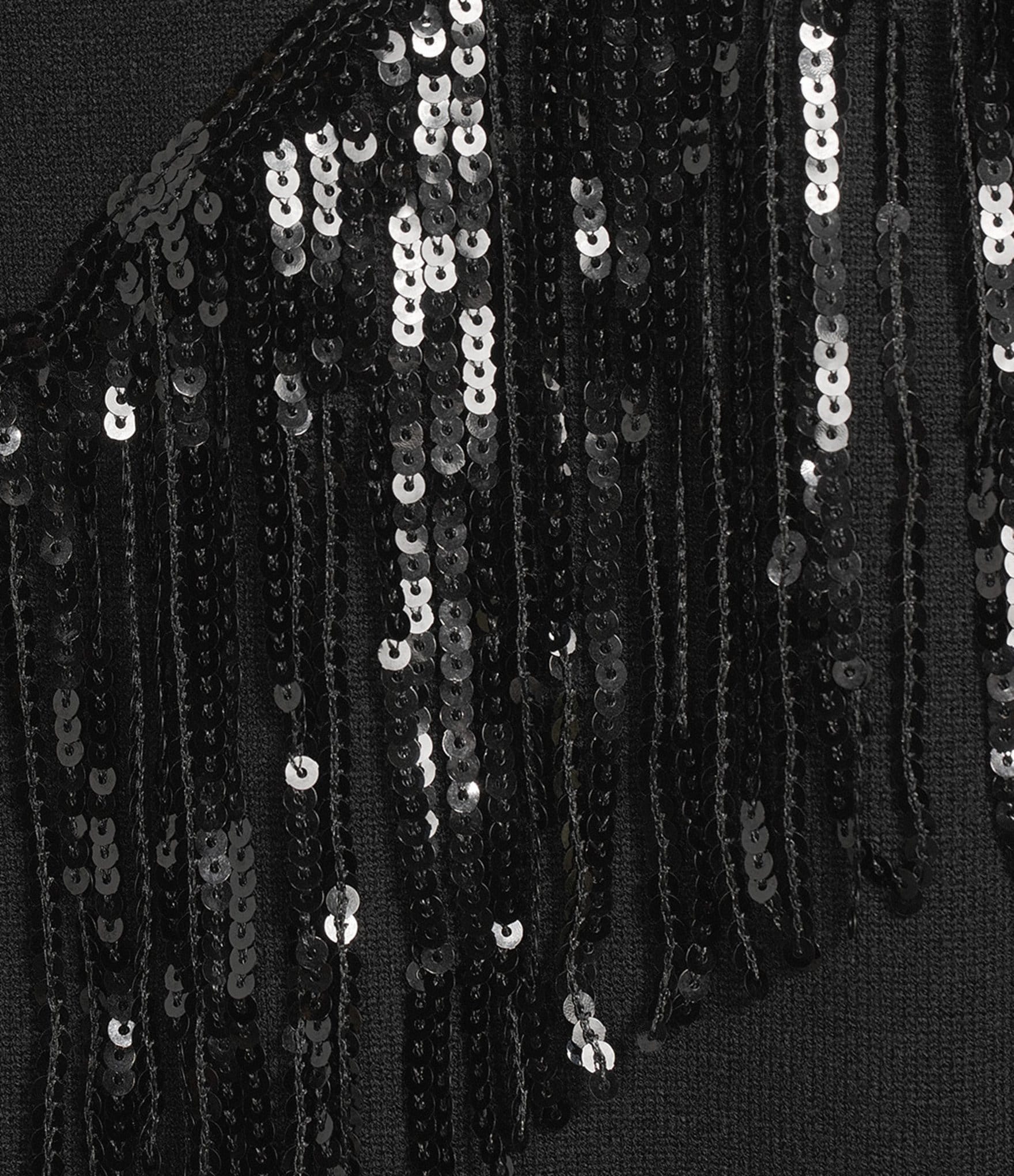 Reba Sequin Fringe Sweater