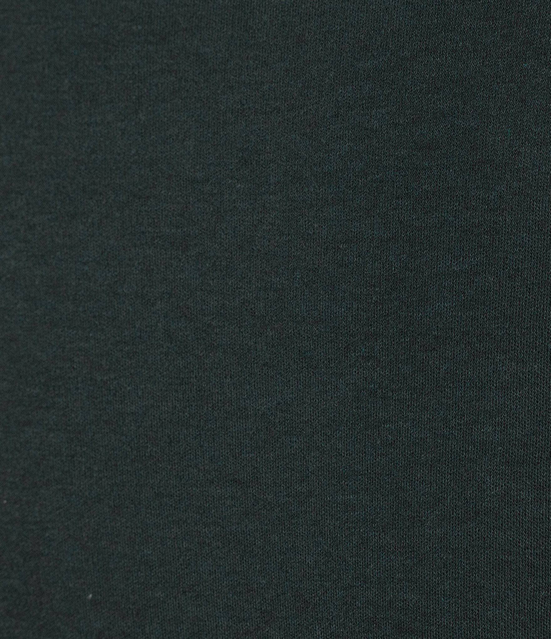 Roundtree & Yorke Long Sleeve Solid Turtle Neck Pullover