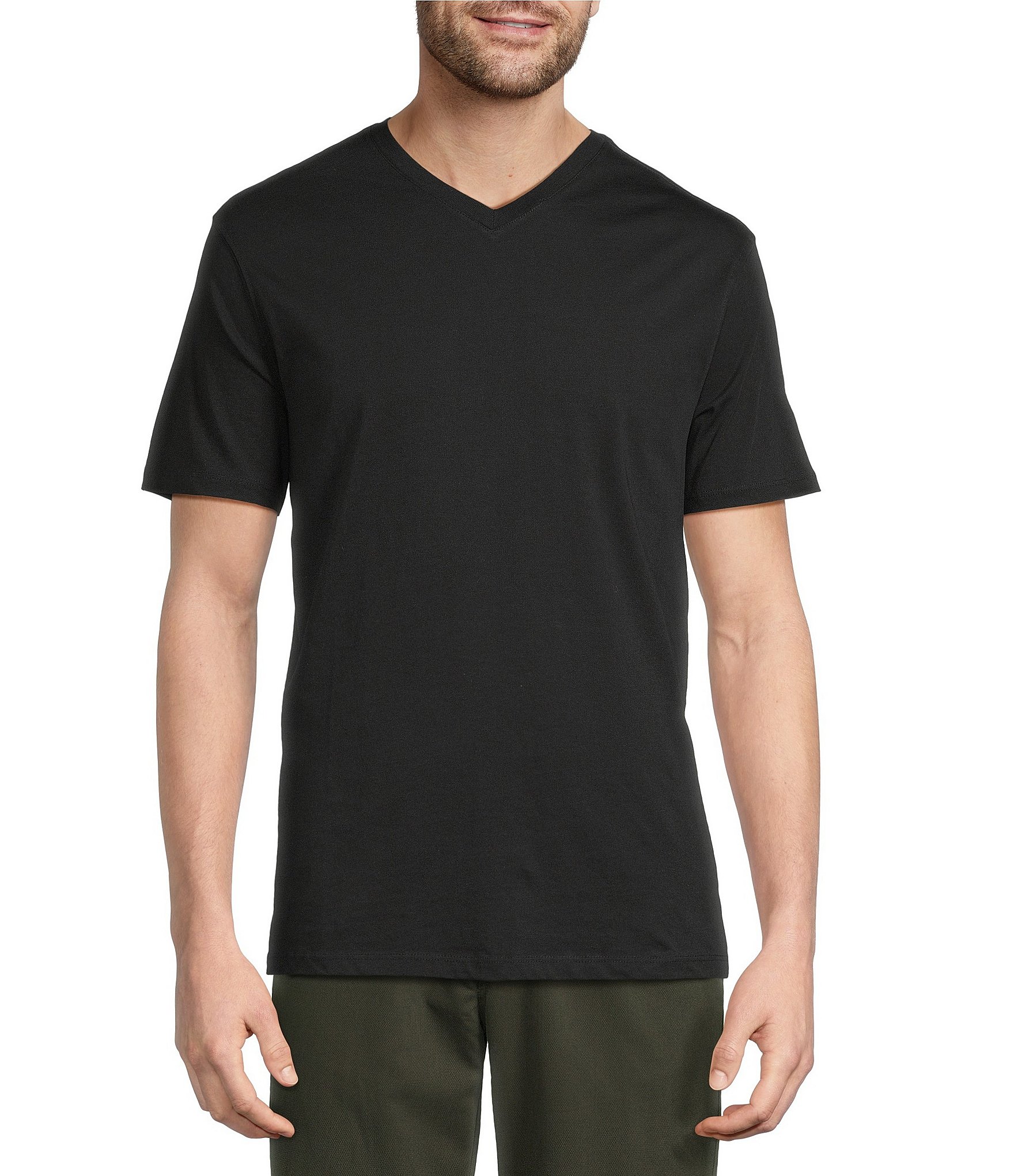 Roundtree & Yorke Solid Cloud Short Sleeve V-Neck T-Shirt