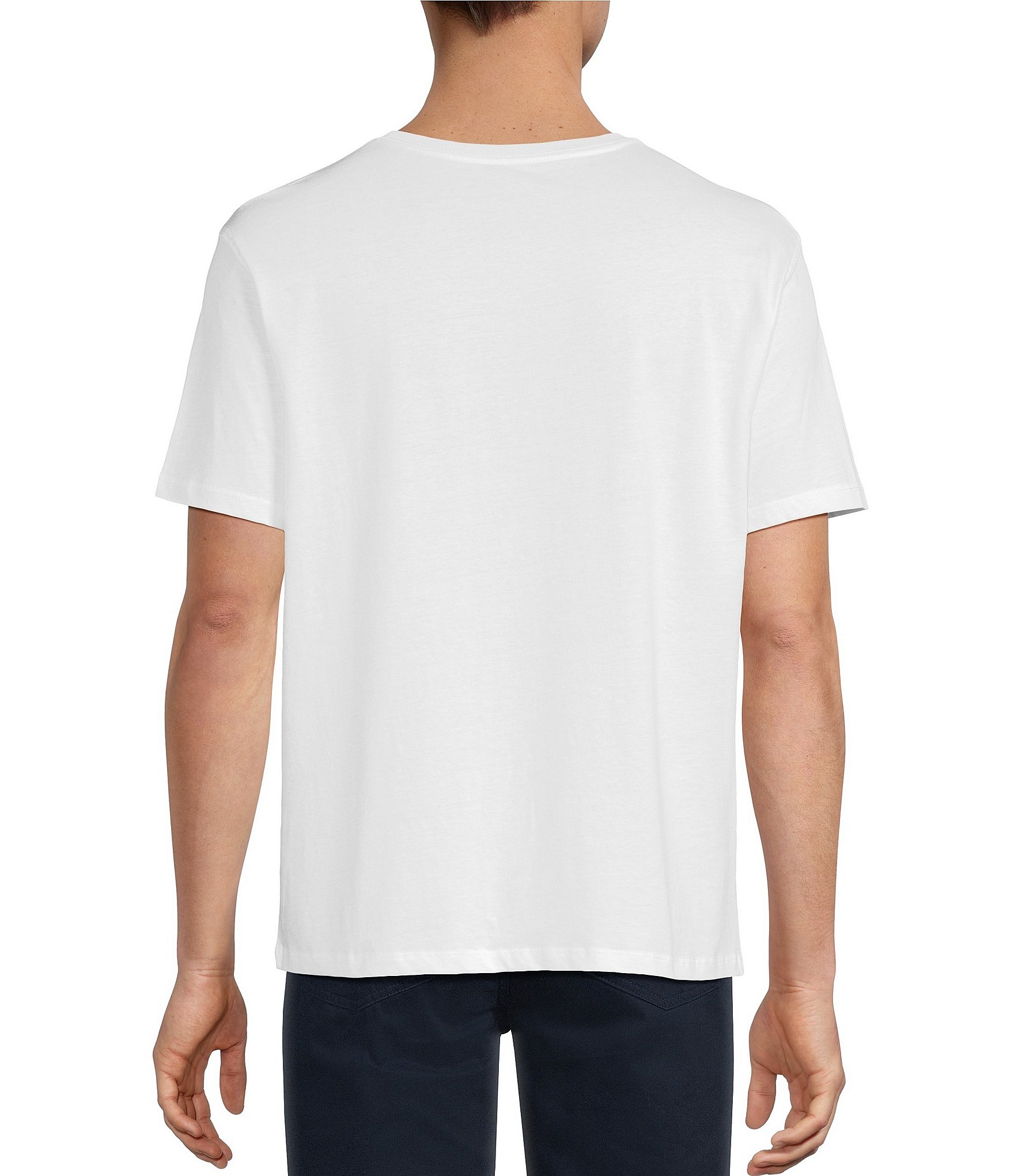 Roundtree & Yorke Solid Cloud Short Sleeve V-Neck T-Shirt