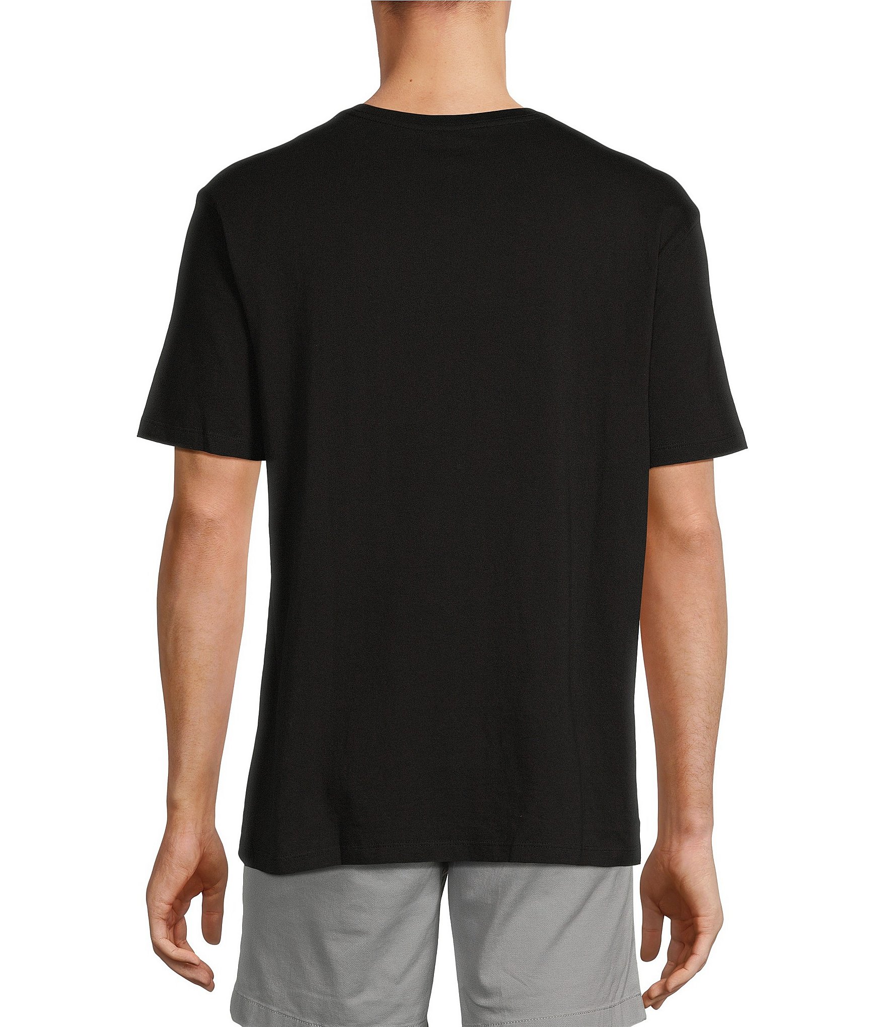 Roundtree & Yorke Solid Cloud Short Sleeve V-Neck T-Shirt