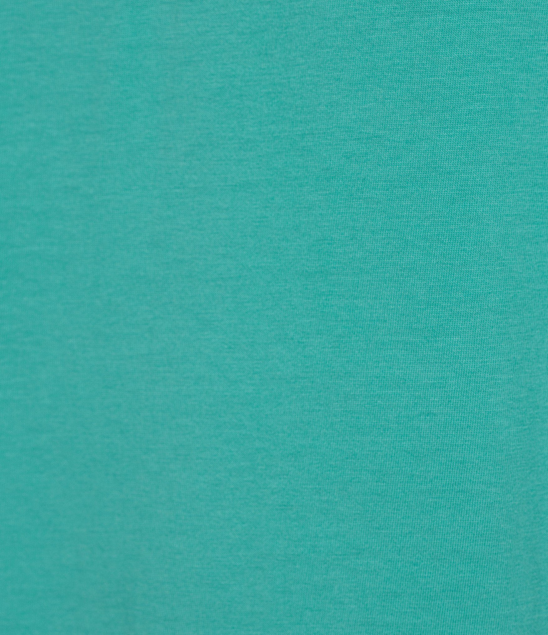 Roundtree & Yorke Solid Cloud Short Sleeve V-Neck T-Shirt