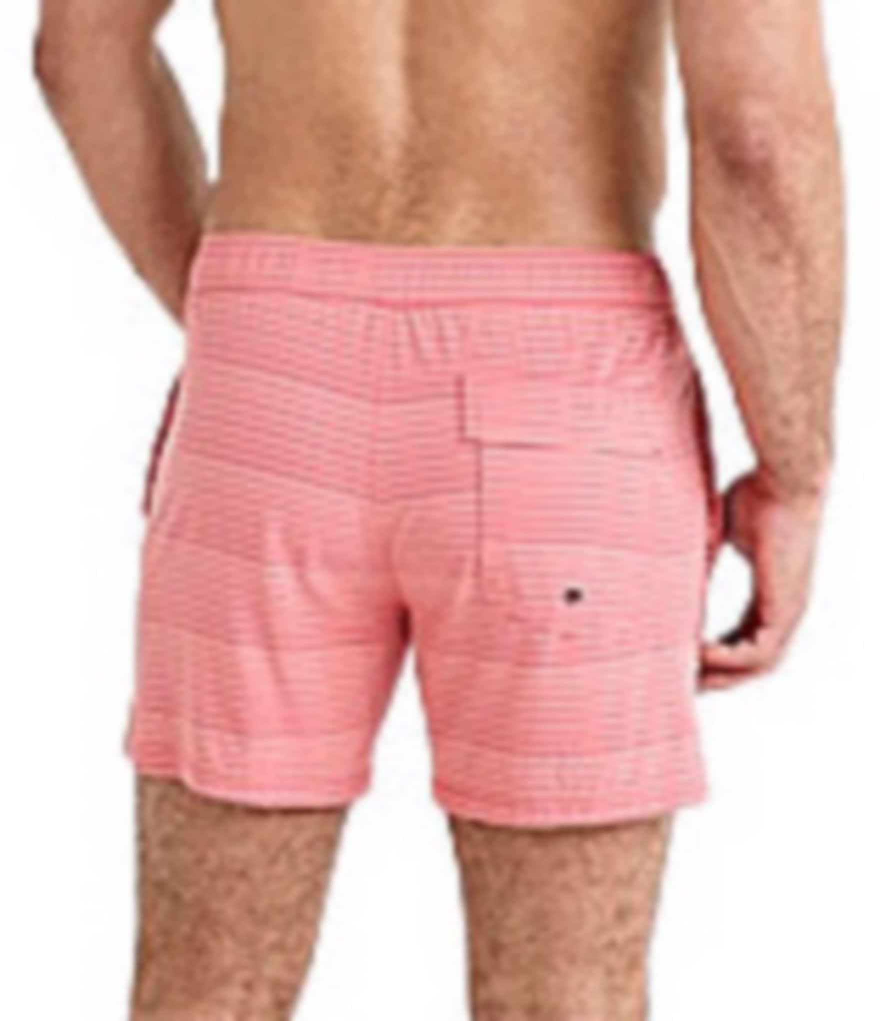 SAXX Oh Buoy 2N1 Stripe 5#double; Inseam Volley Swim Shorts