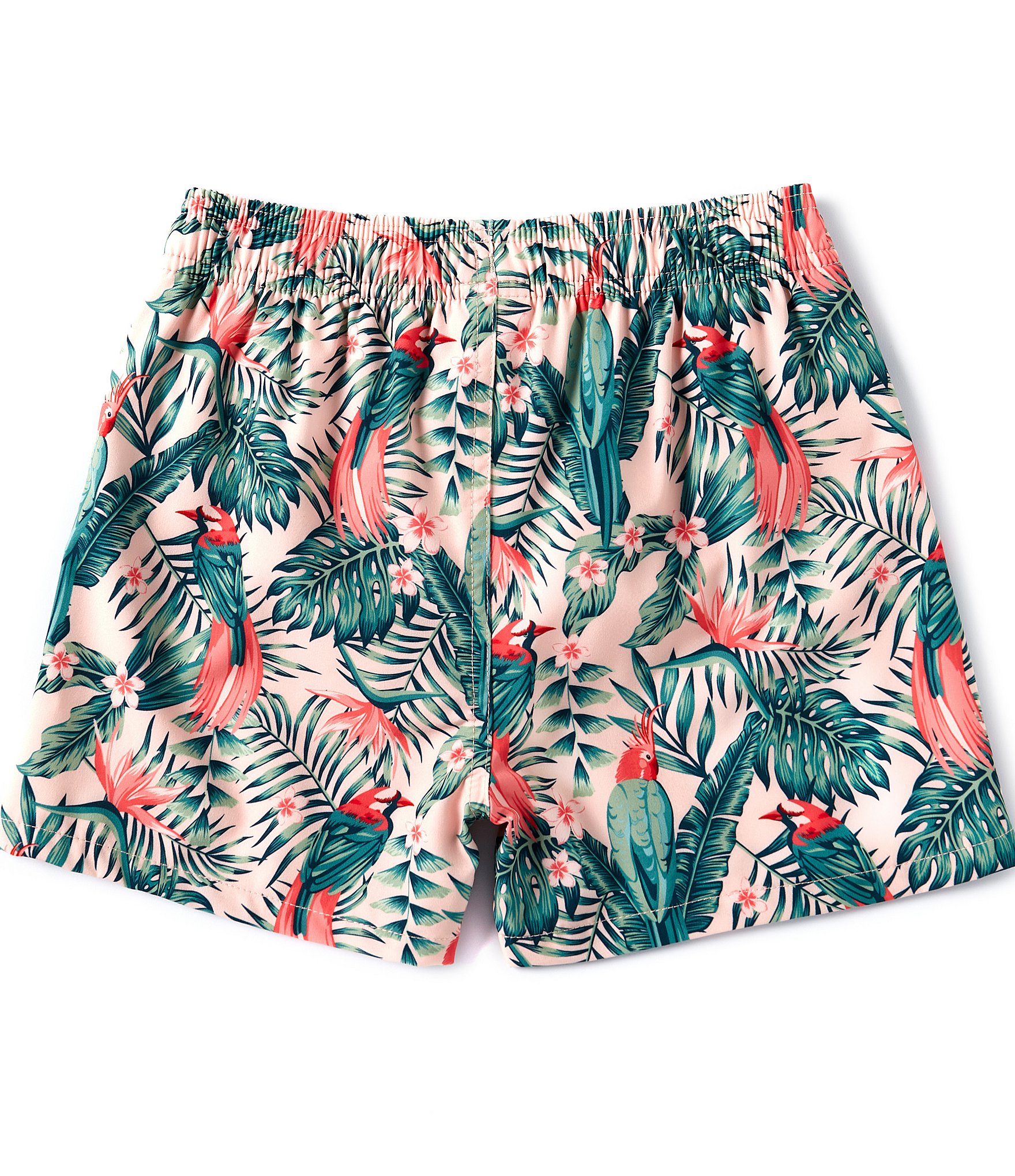 Scene&Heard Big Boys 8-20 Birds & Palms Swim Trunks