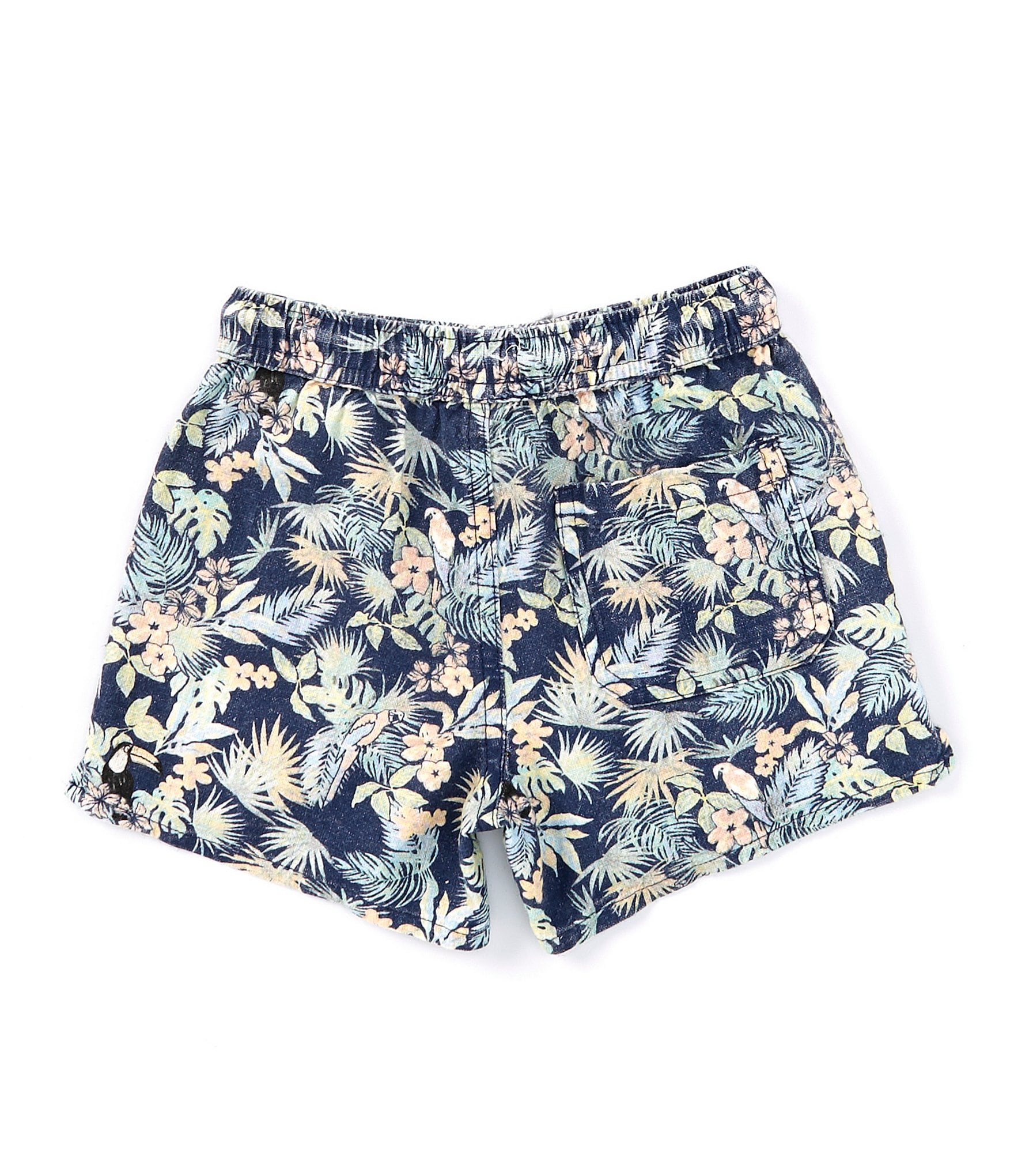 Scene&Heard Little Boys 2T-7 Pull-On Botanical Print Shorts