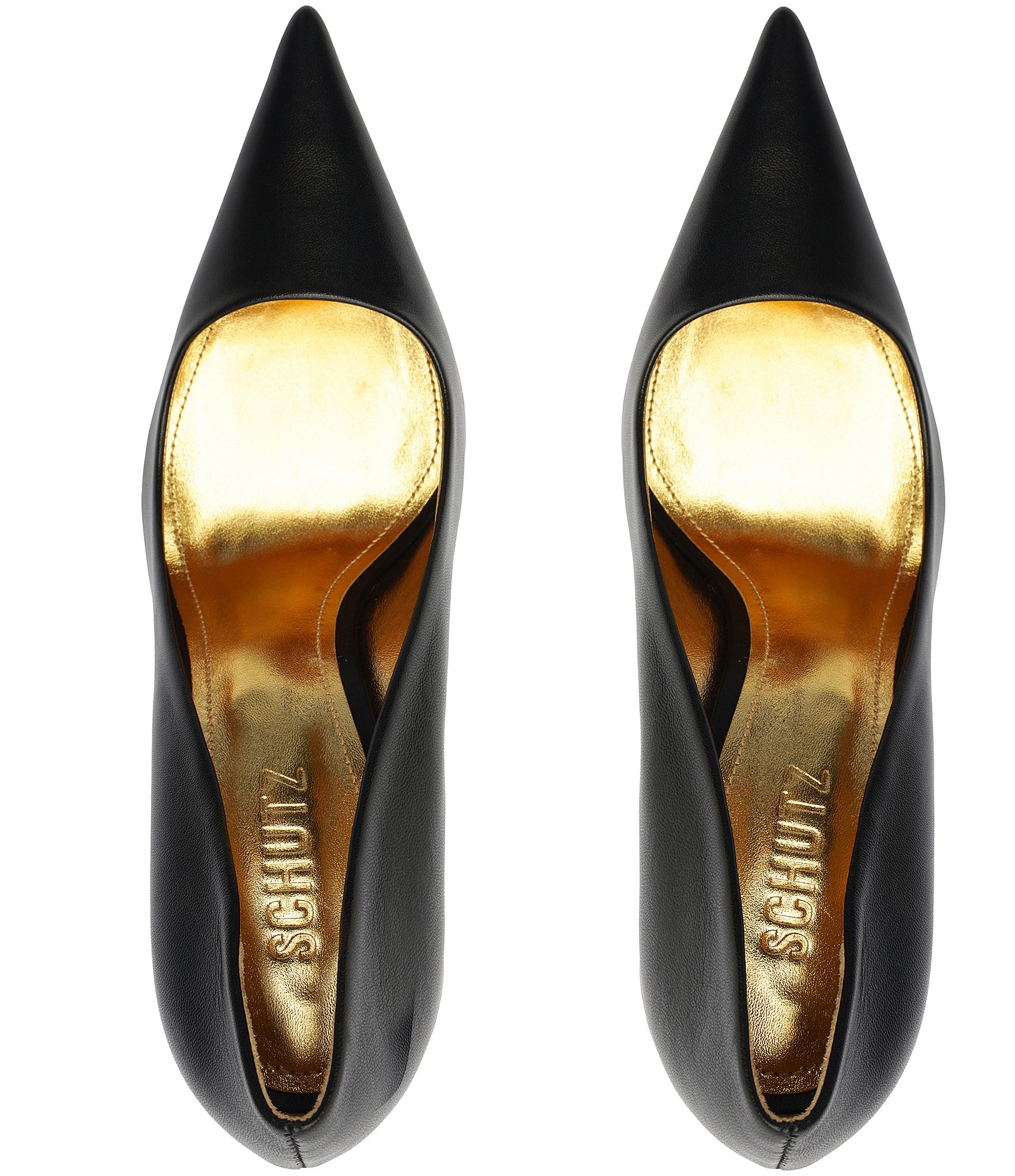 Schutz Firenze Leather Pointed Toe Pumps