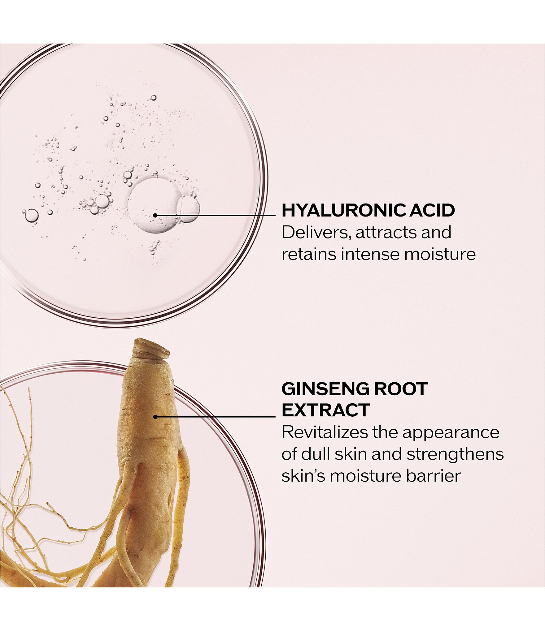 Shiseido Essential Energy Hydrating Cream Set