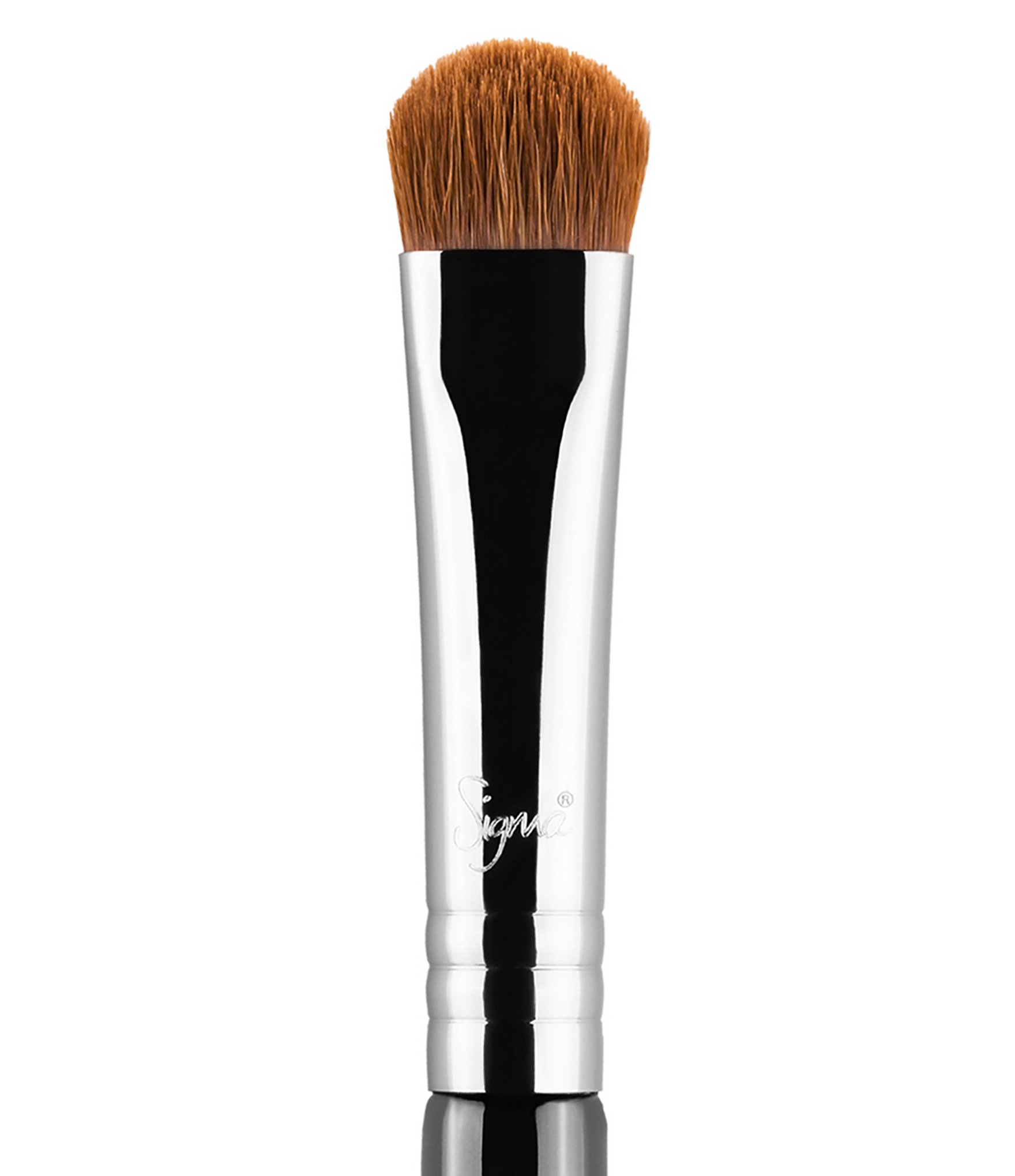 Sigma Beauty E55 Eye Shading Brush