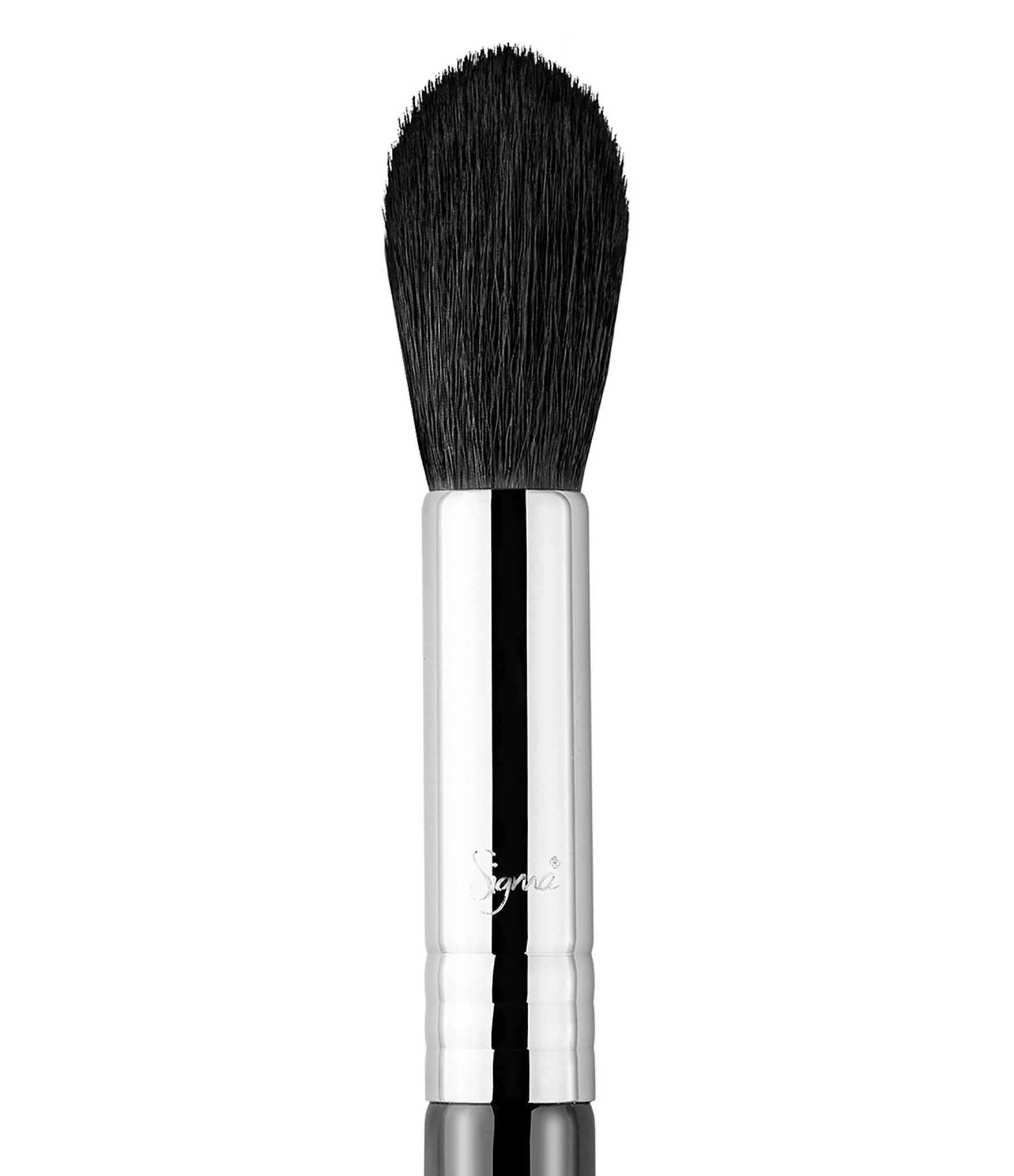 Sigma Beauty F35 Tapered Highlight Brush