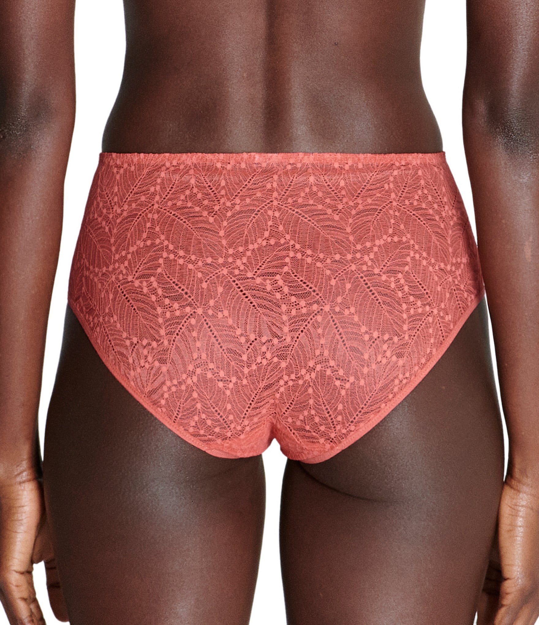 Simone Perele Comete Retro High Rise Lace Brief Panty