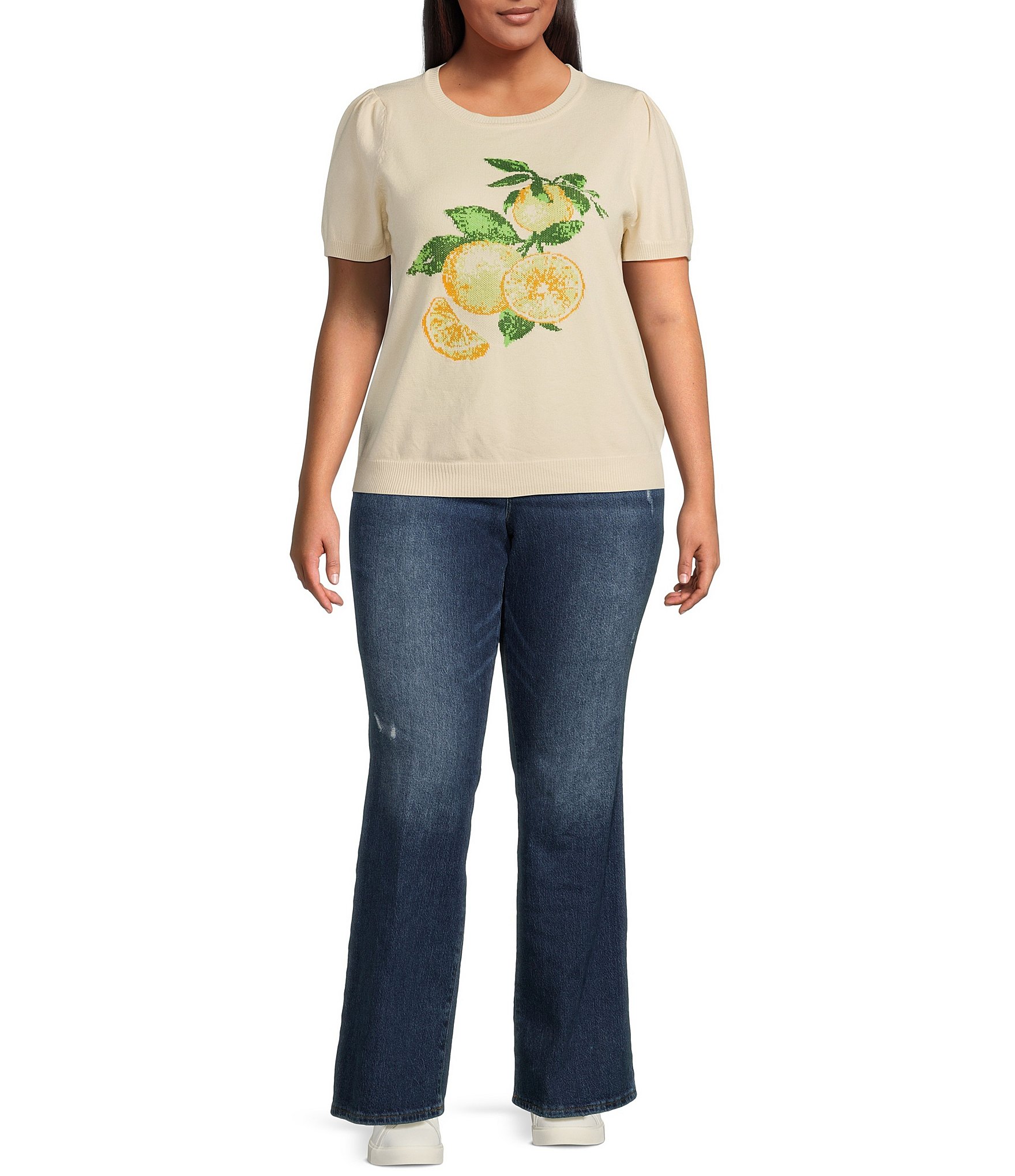 Skies Are Blue Plus Intarsia Short Sleeve Sweater Top