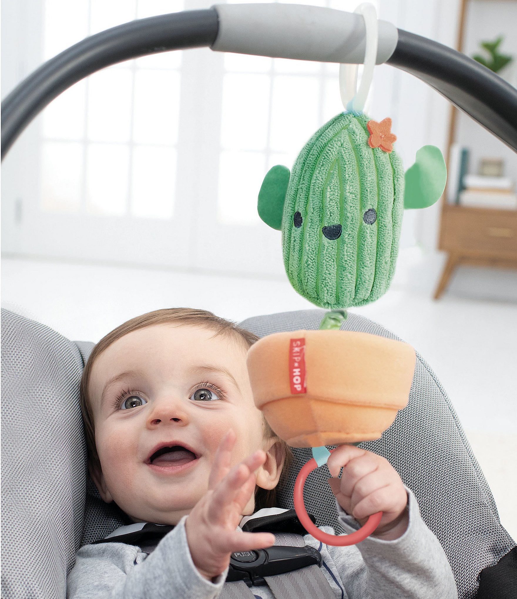 Skip Hop Farmstand Jitter Cactus Stroller/Carseat Toy