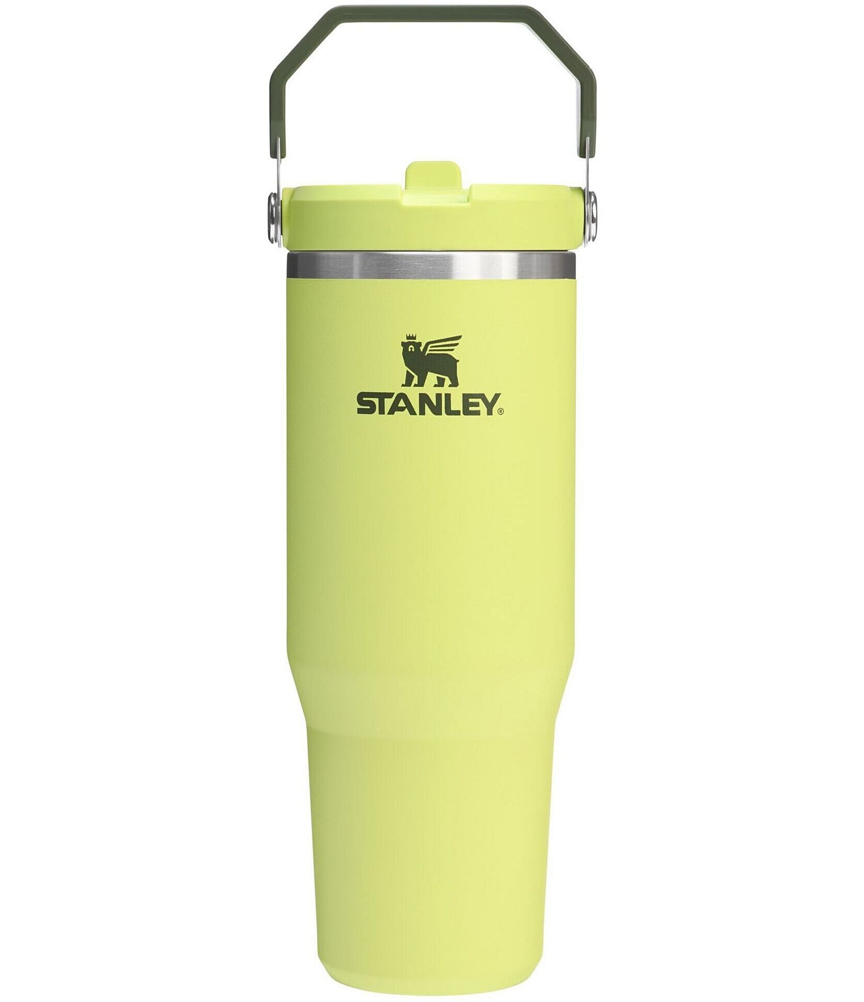 Stanley IceFlow Tumbler with Flip Straw