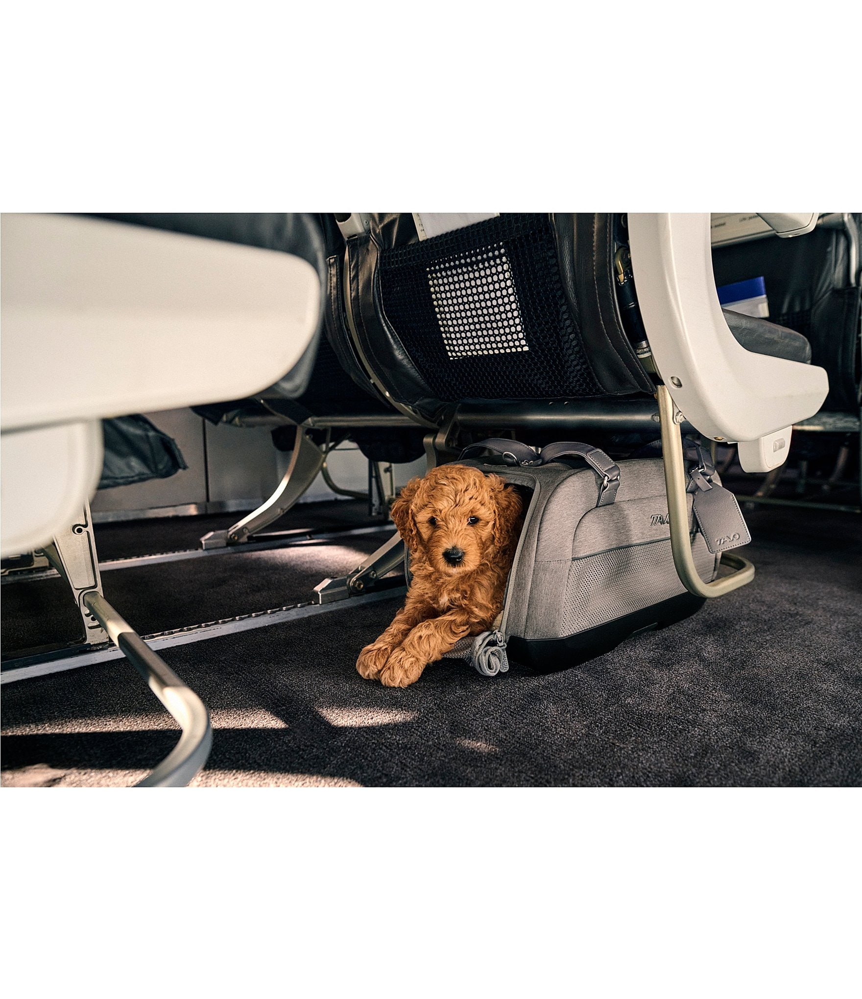 Tavo Pet Dupree™ I Car Seat + Roscoe™ Stoller Travel System Bundle