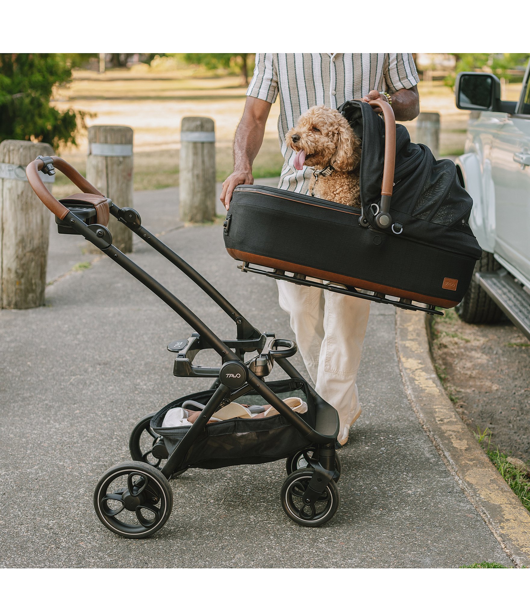 Tavo Pet Maeve™ Pet Car Seat, Medium Rigid