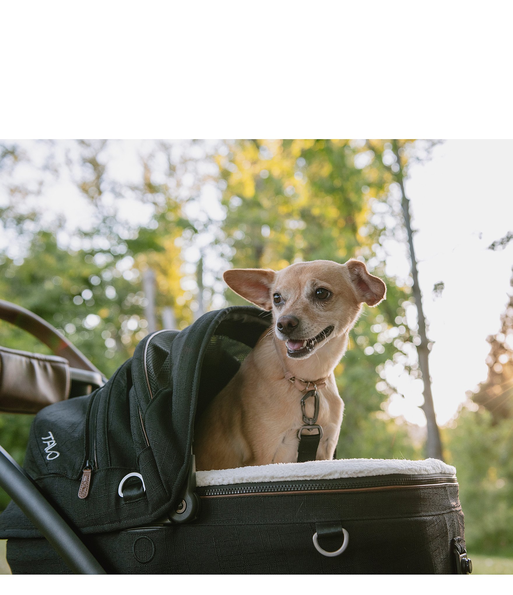 Maeve™ Pet Car Seat