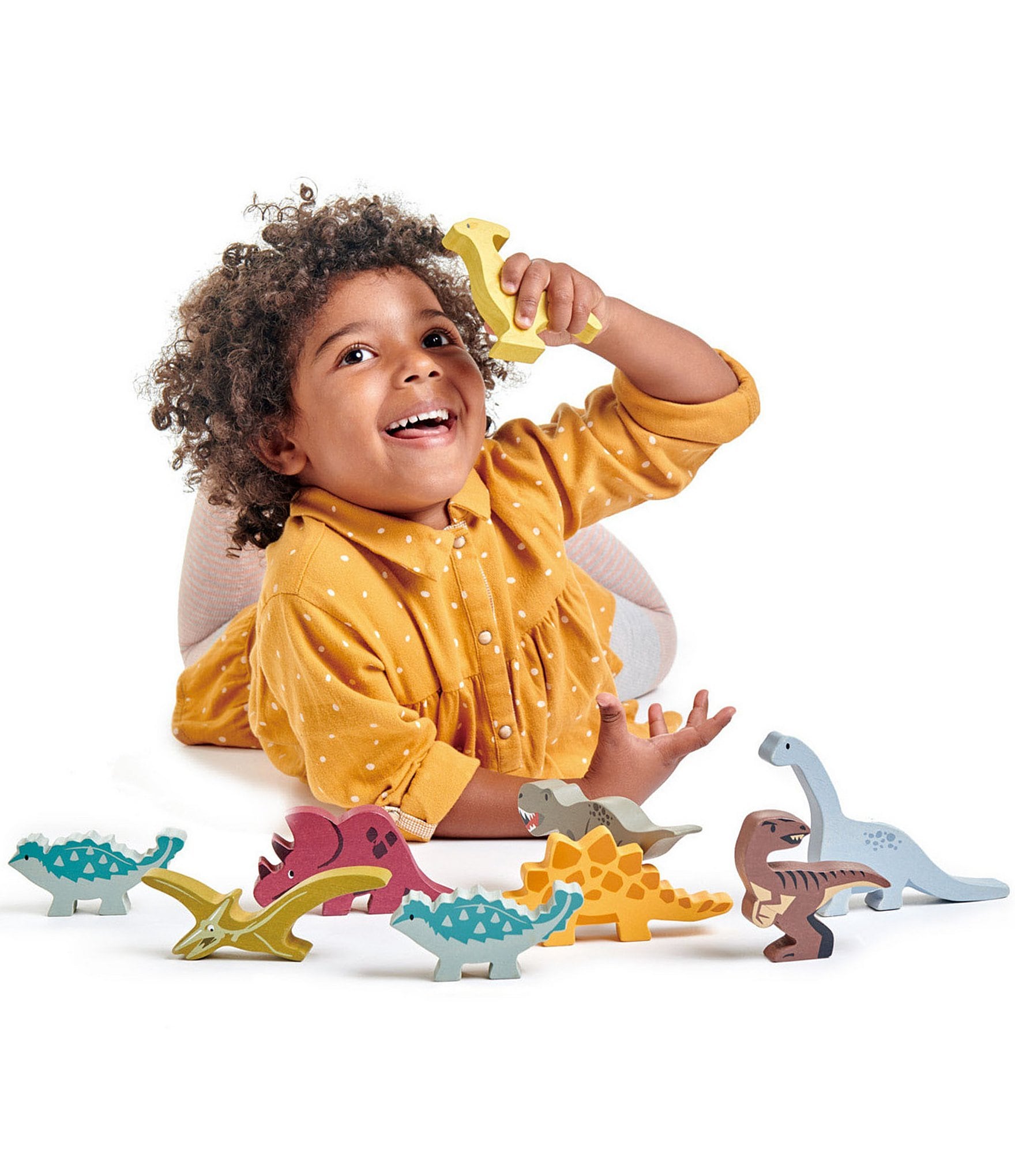 Tender Leaf Toys Dinosaurs Collection Wooden Toy Set