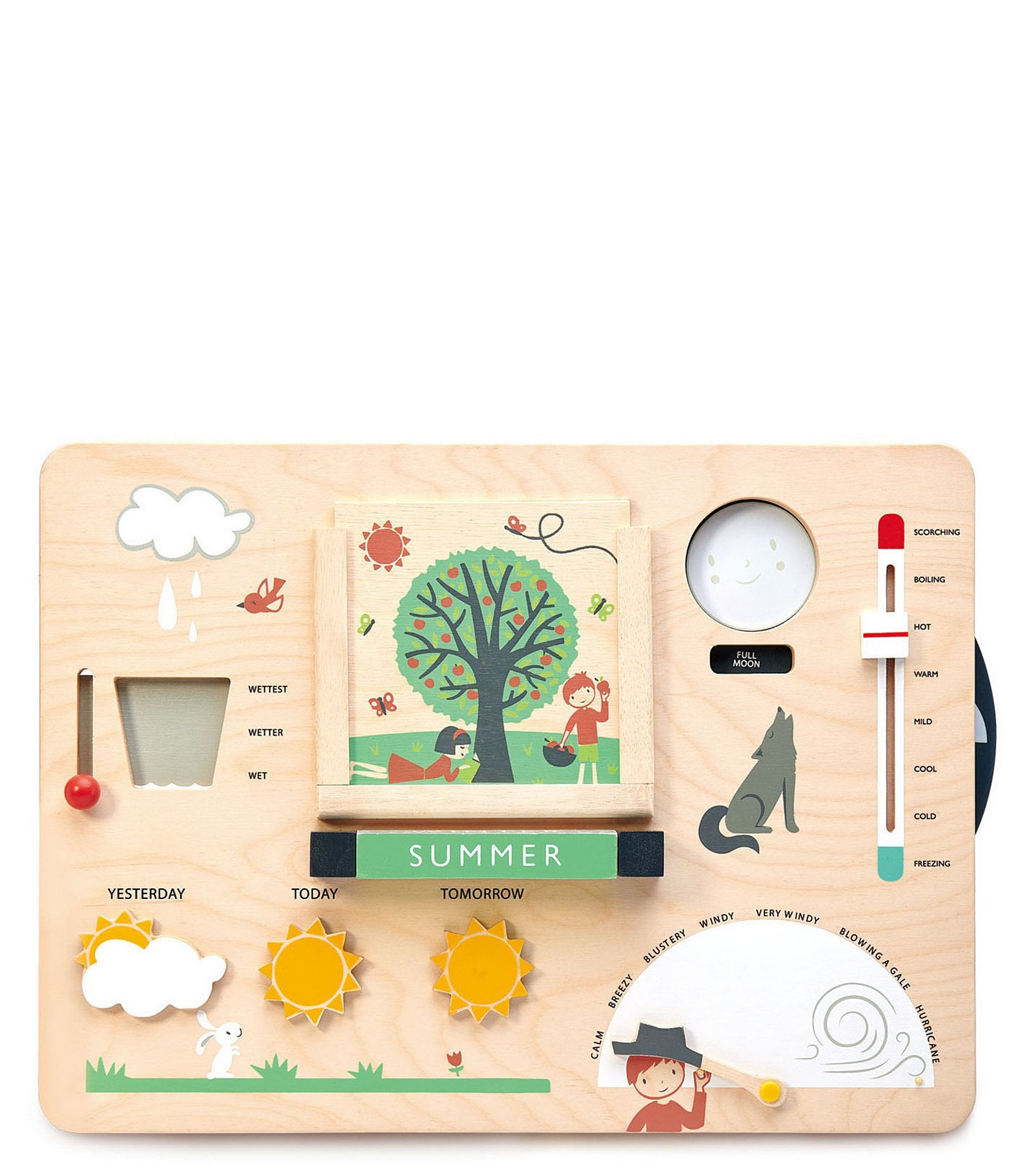 Tender Leaf Toys Weather Watch