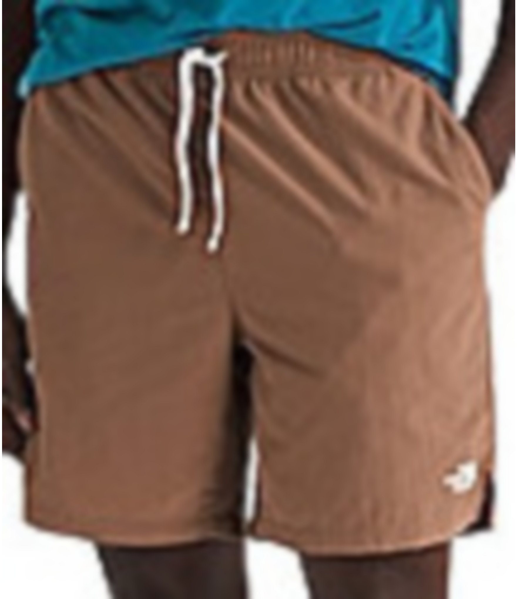 The North Face Action 2.0 Shorts