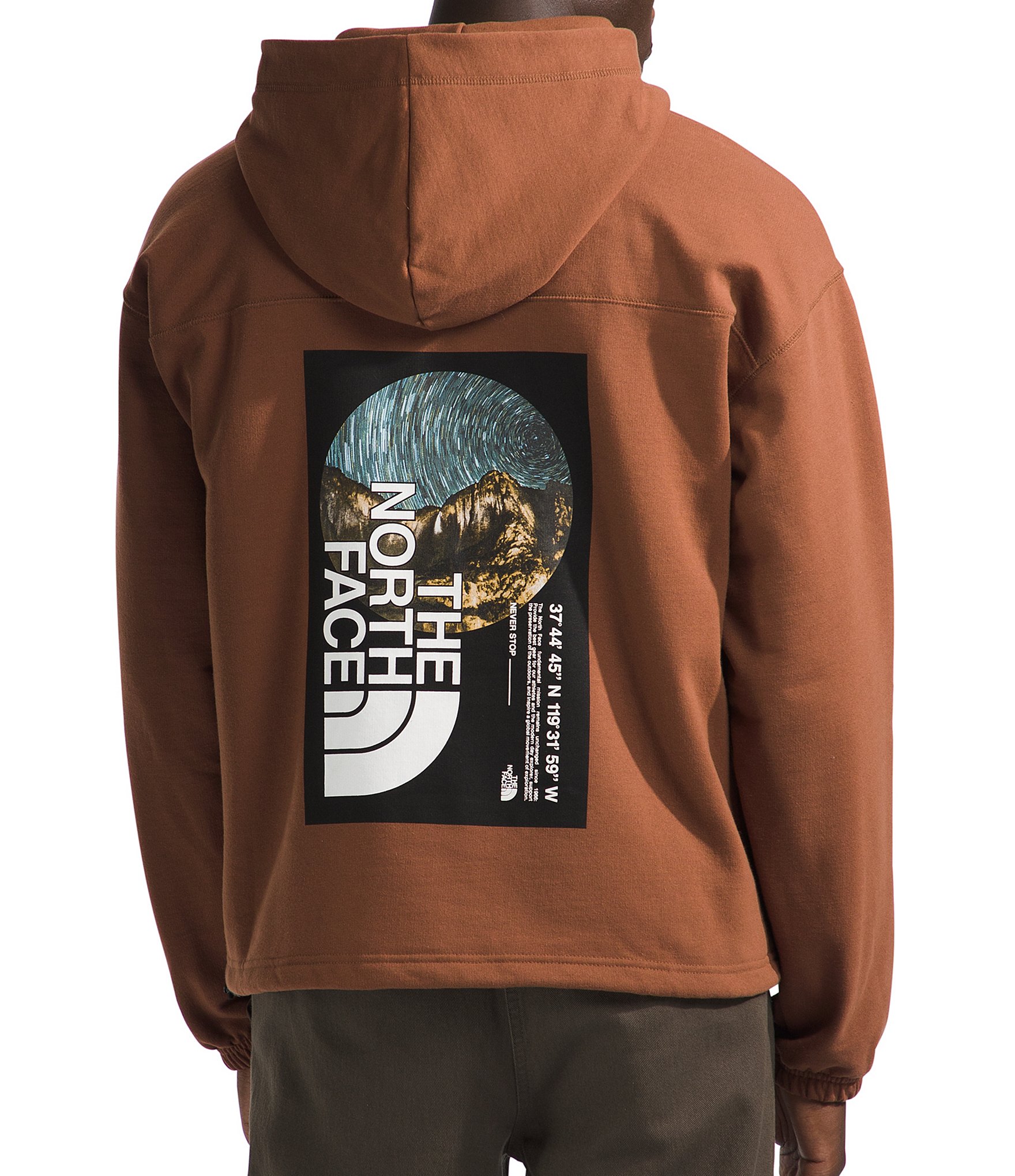 North face 2024 graphic hoodie