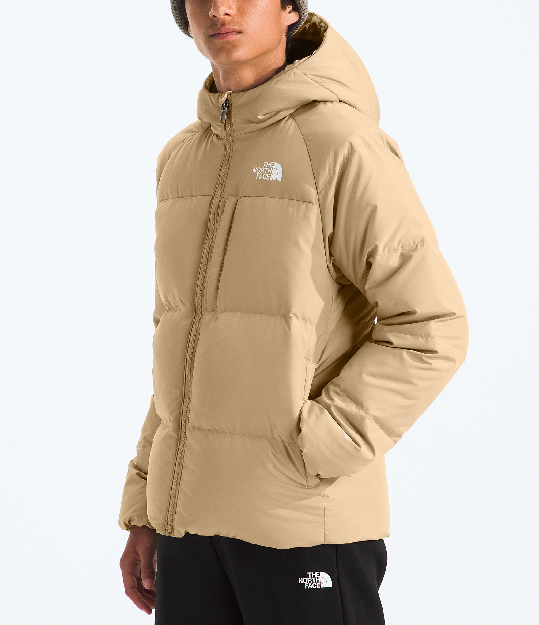 The North Face Big Boys 6-18 North Down Hooded Jacket