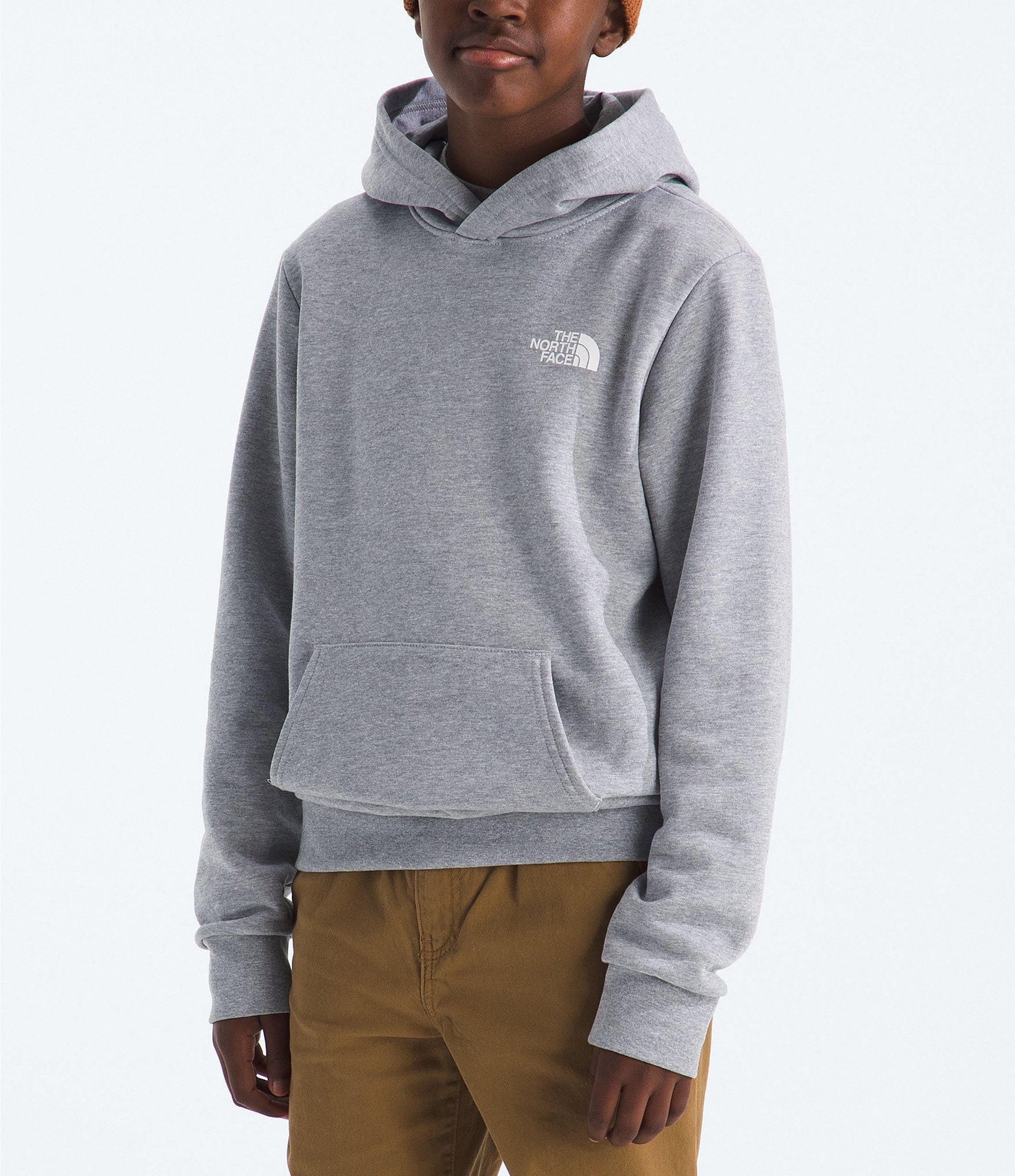 The North Face Big Kids Evolution Box NSE Graphic Pullover Hoodie