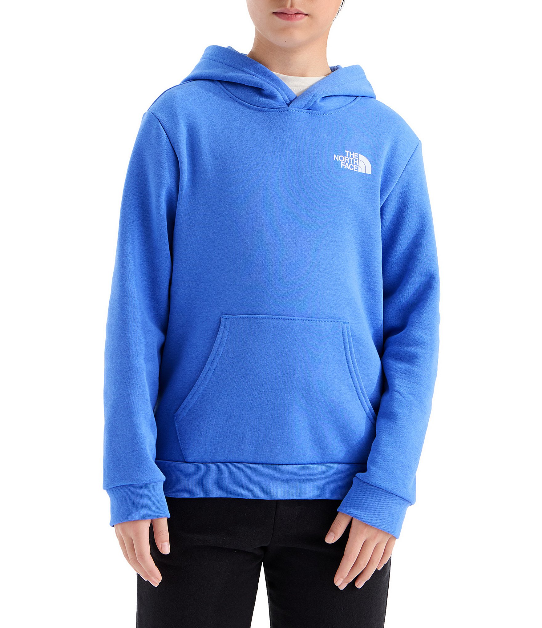 The North Face Big Kids Evolution Box NSE Pullover Hoodie