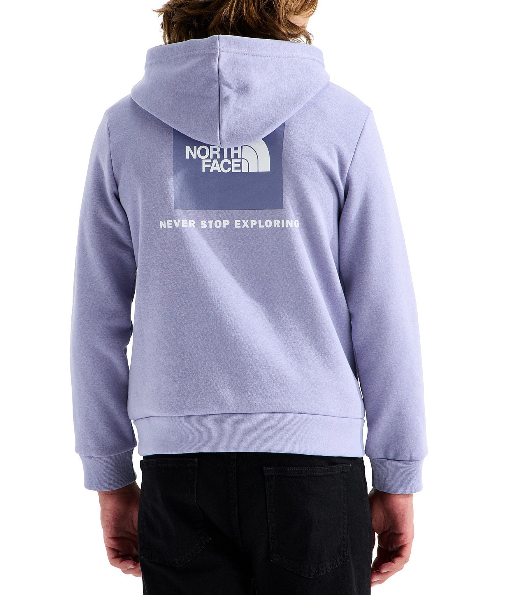 The North Face Big Kids Evolution Box NSE Pullover Hoodie