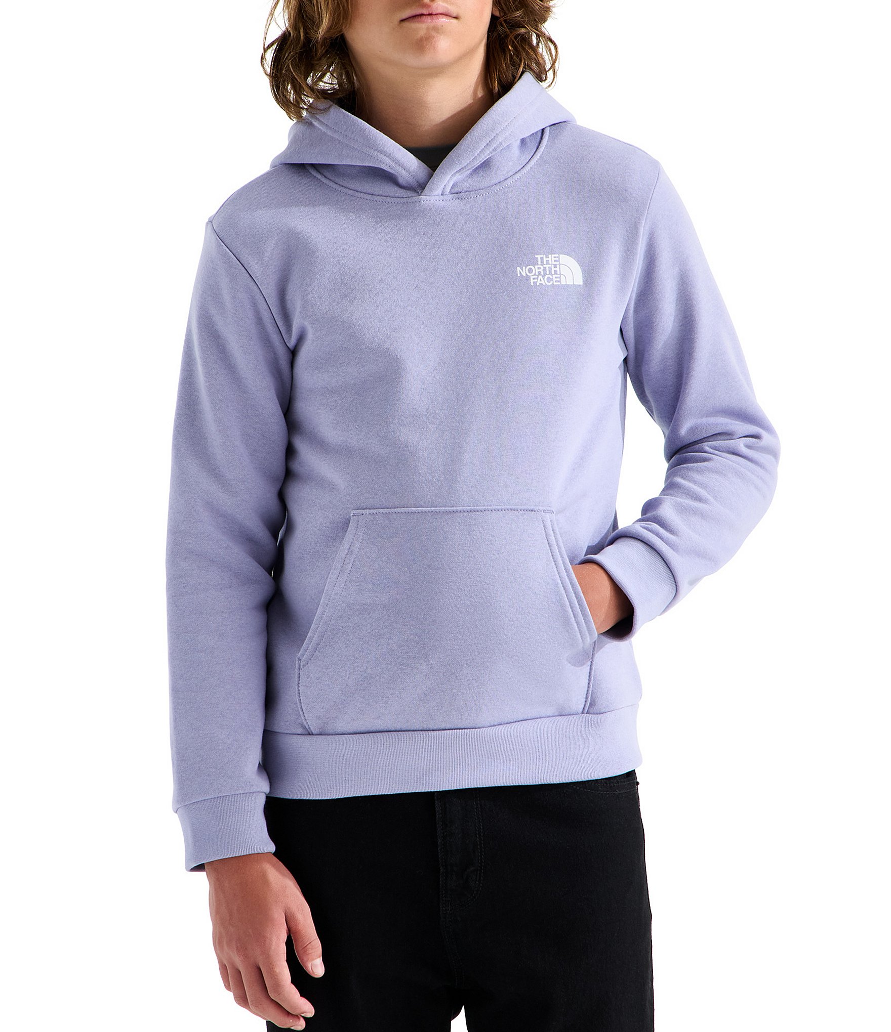 The North Face Big Kids Evolution Box NSE Pullover Hoodie