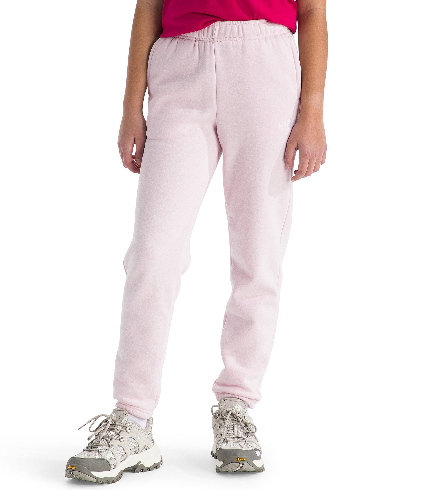 The North Face Big Kids Evolution EMB Jogger Pants