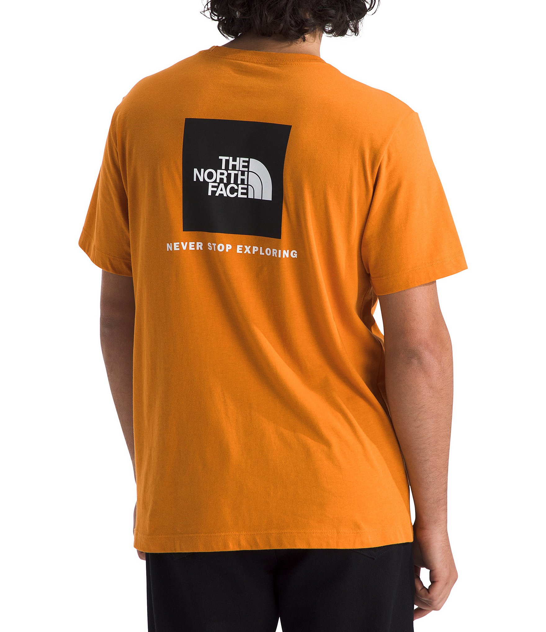 The North Face Evolution Box Never Stop Exploring Short Sleeve T-Shirt