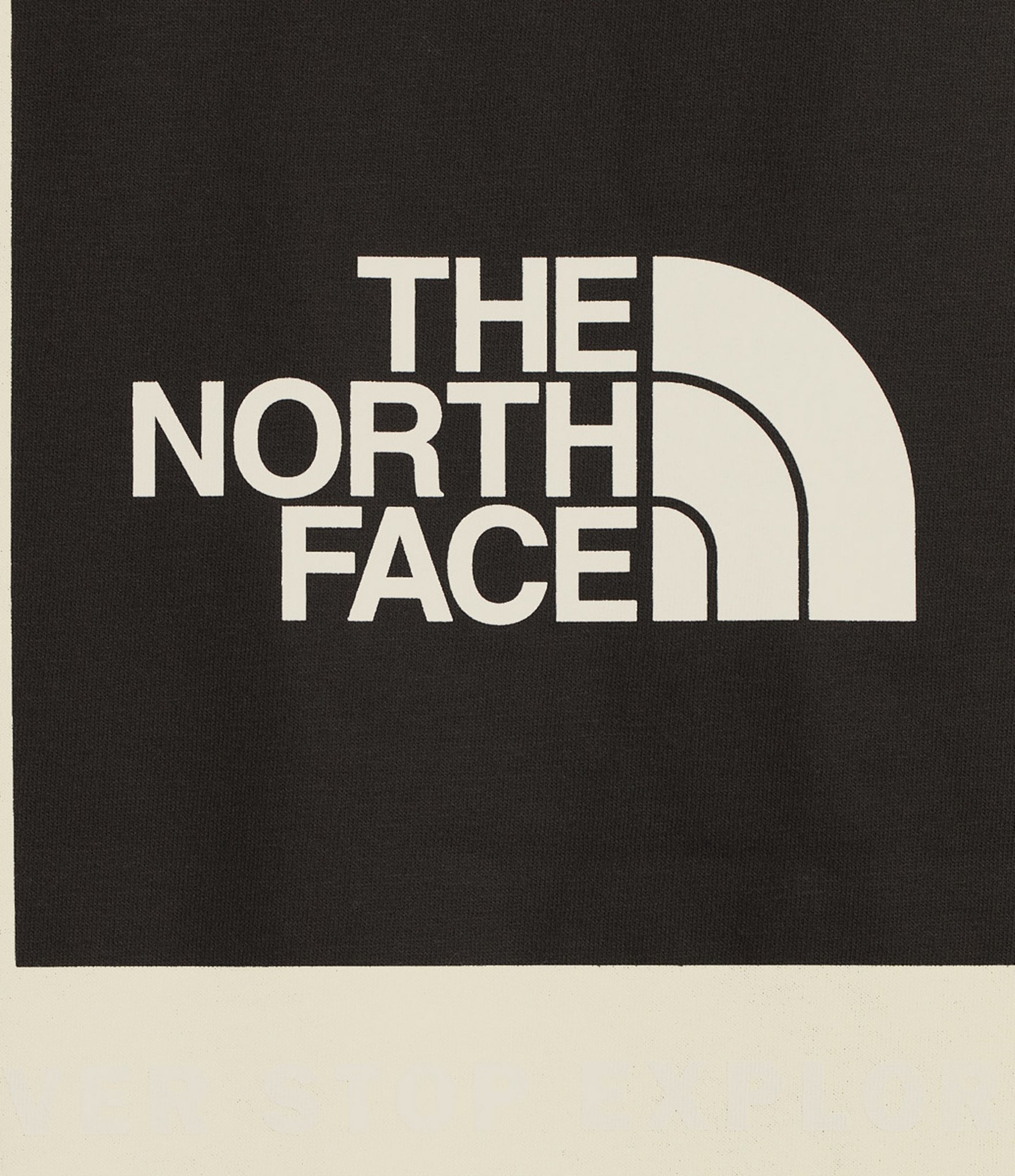 The North Face Evolution Box Short Sleeve Crew Neck Tee