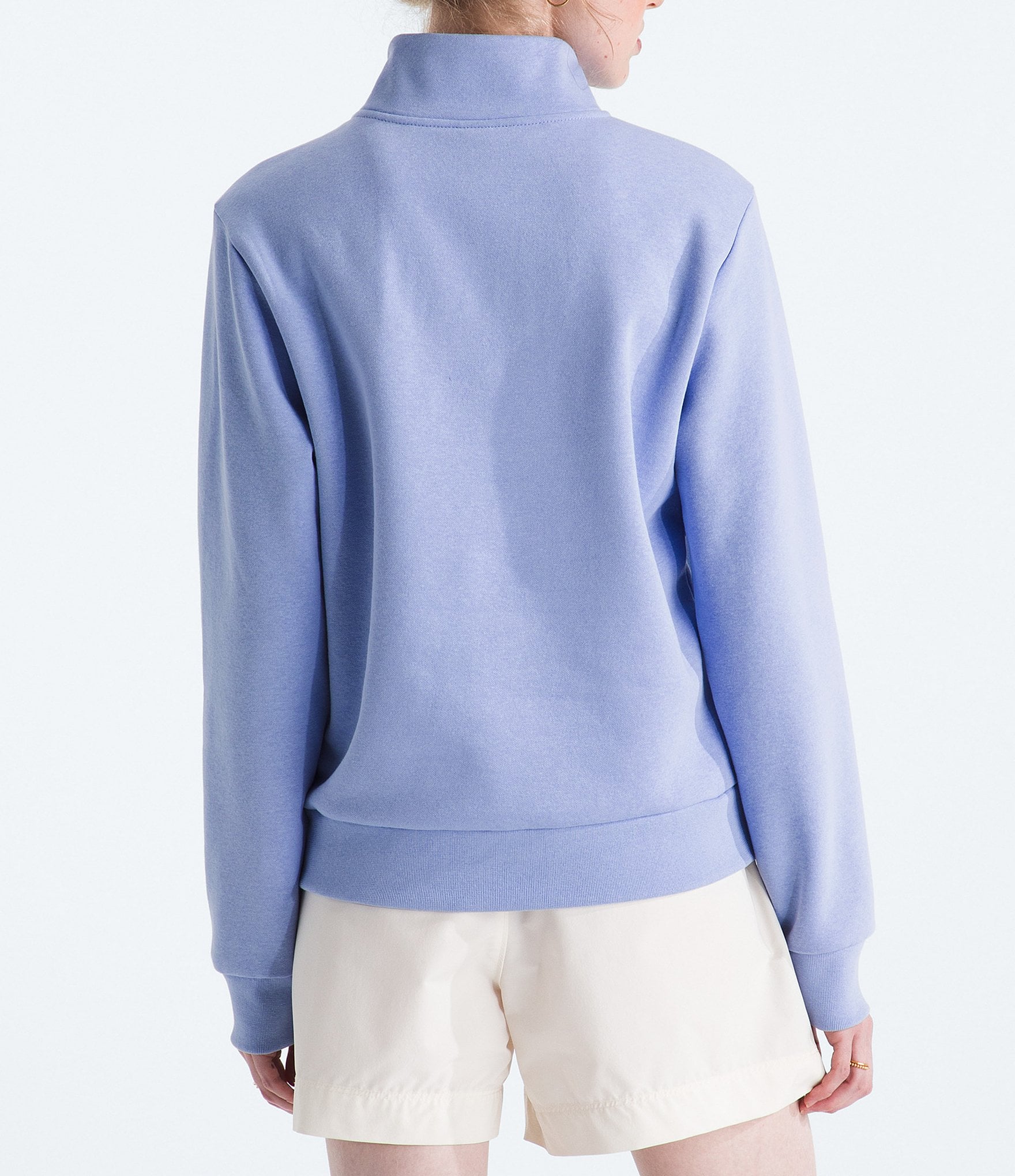 The North Face Evolution Half Zip Mock Stand Long Sleeve Pullover