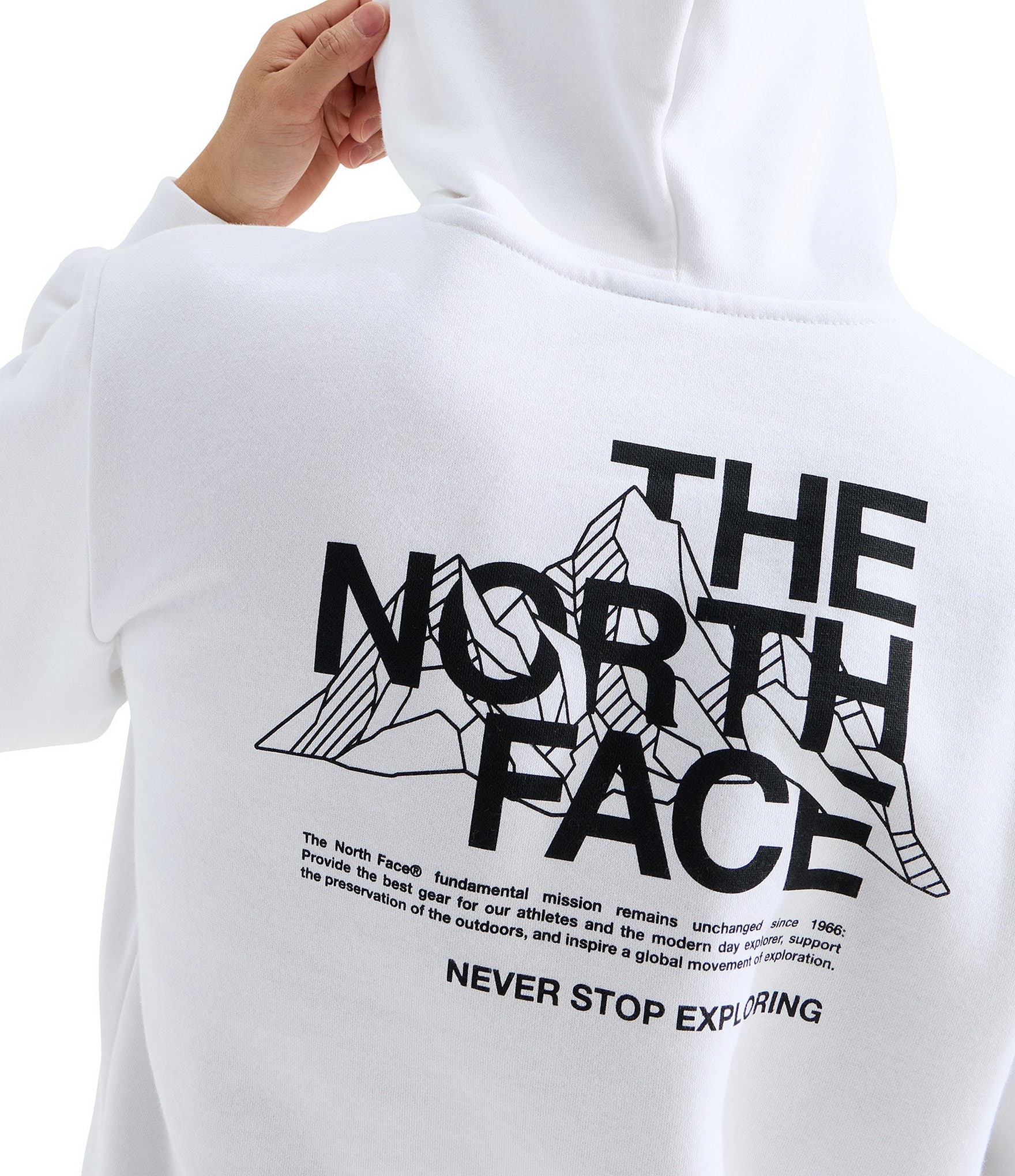 The North Face Evolution Mountain Sketch Regular Hoodie