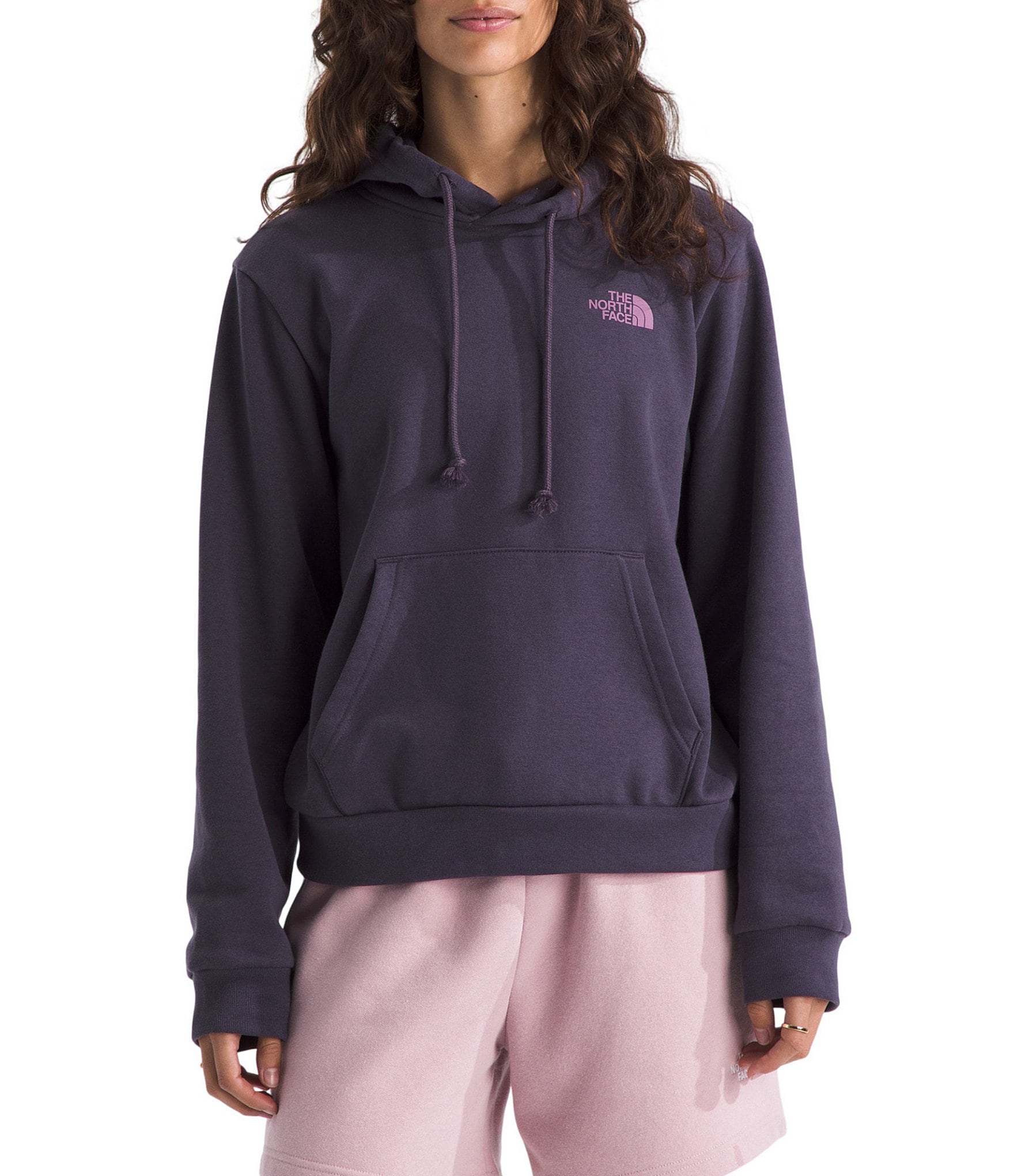 The North Face Exploring Stamps Regular Fit Pullover Hoodie